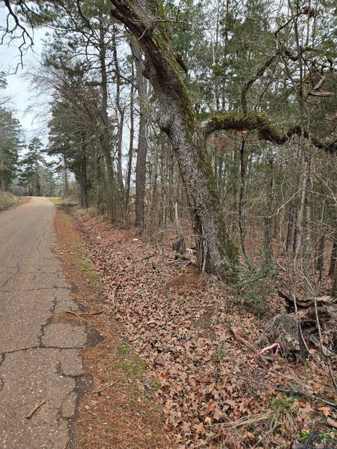 Vacant Land For Sale - 0000 Cr 3206 (23.91ac)<br/> Laneville, TX 75667