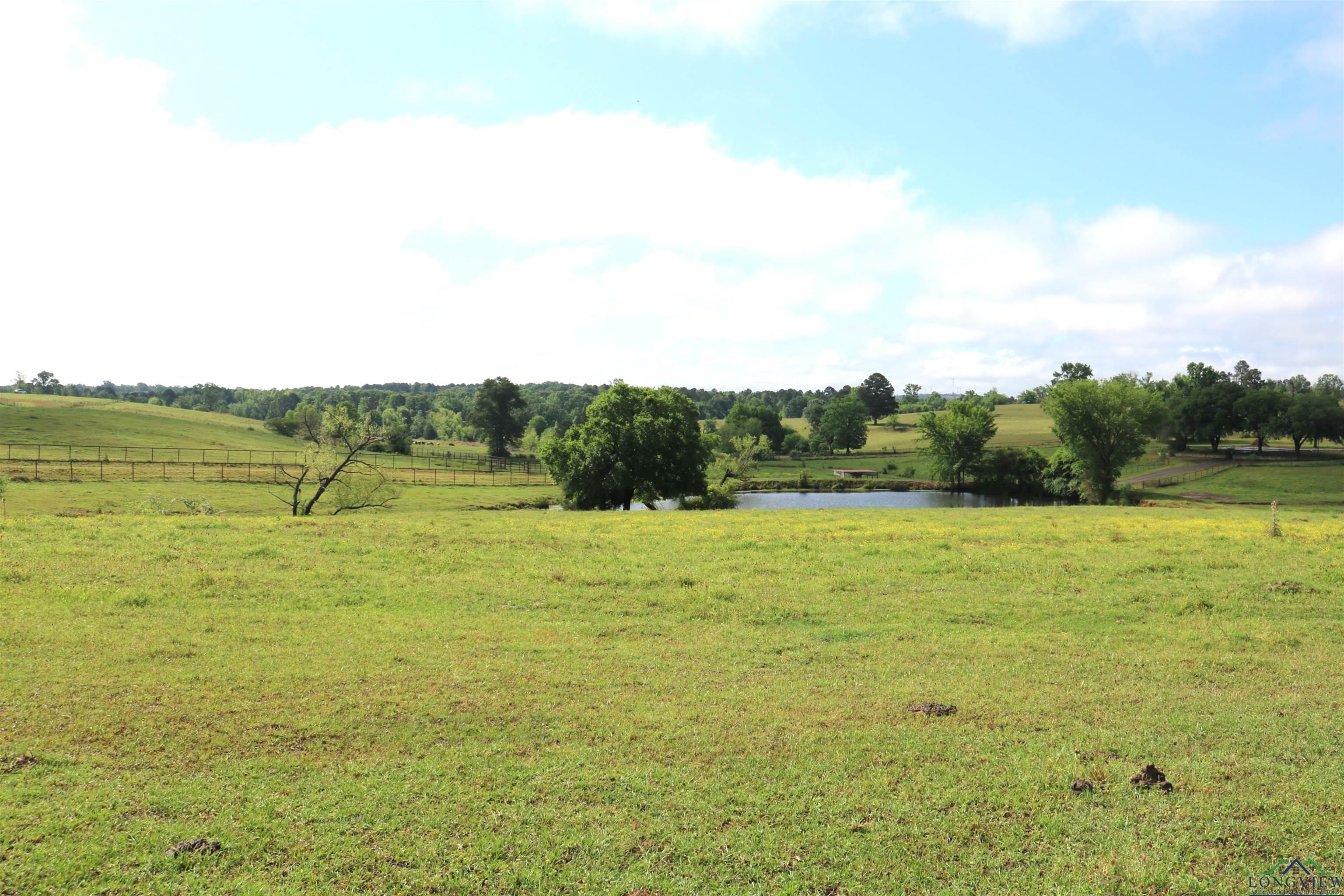TBD State Hwy 155 North 33.4 Acres, Ore City, Texas image 23