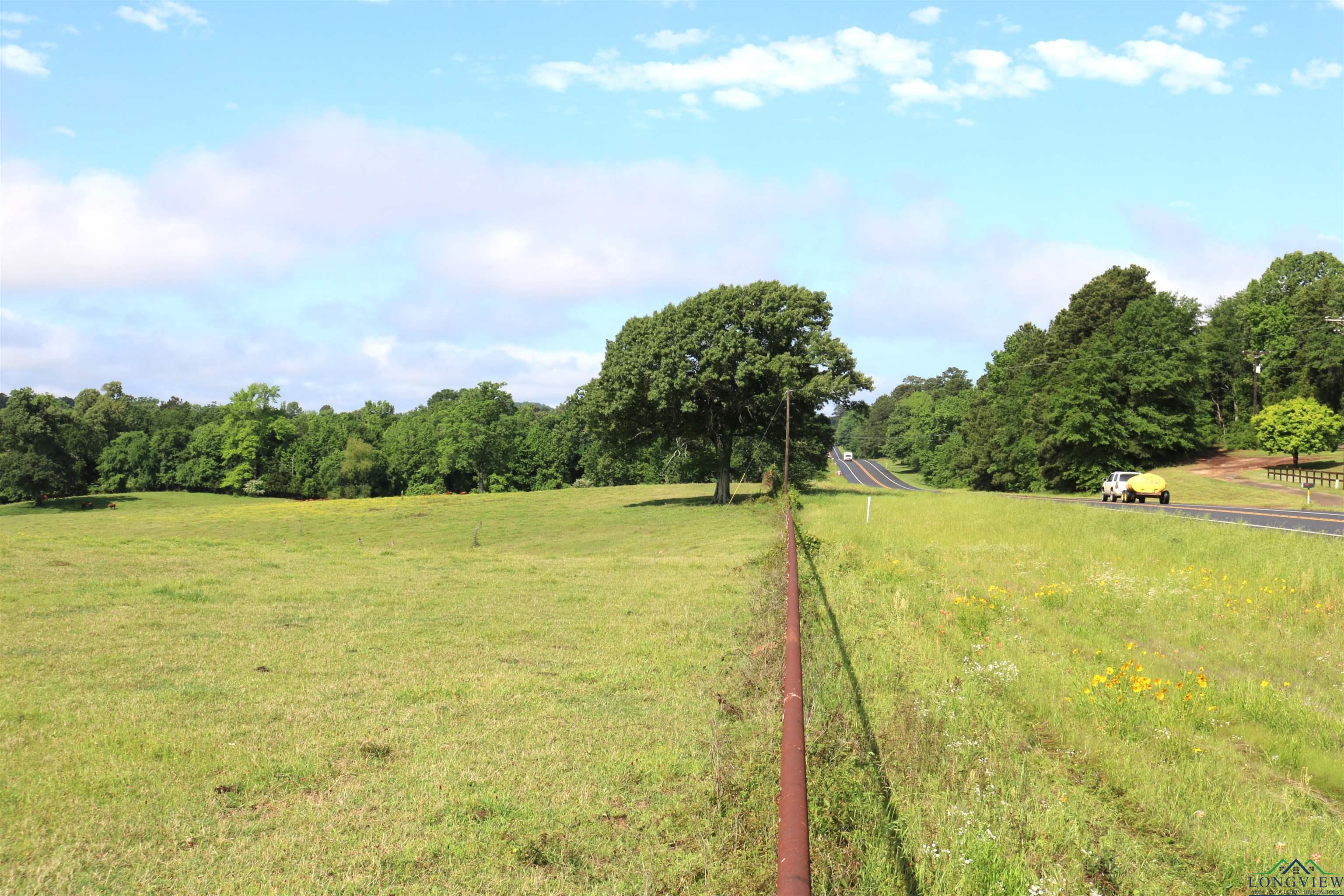 TBD State Hwy 155 North 33.4 Acres, Ore City, Texas image 28