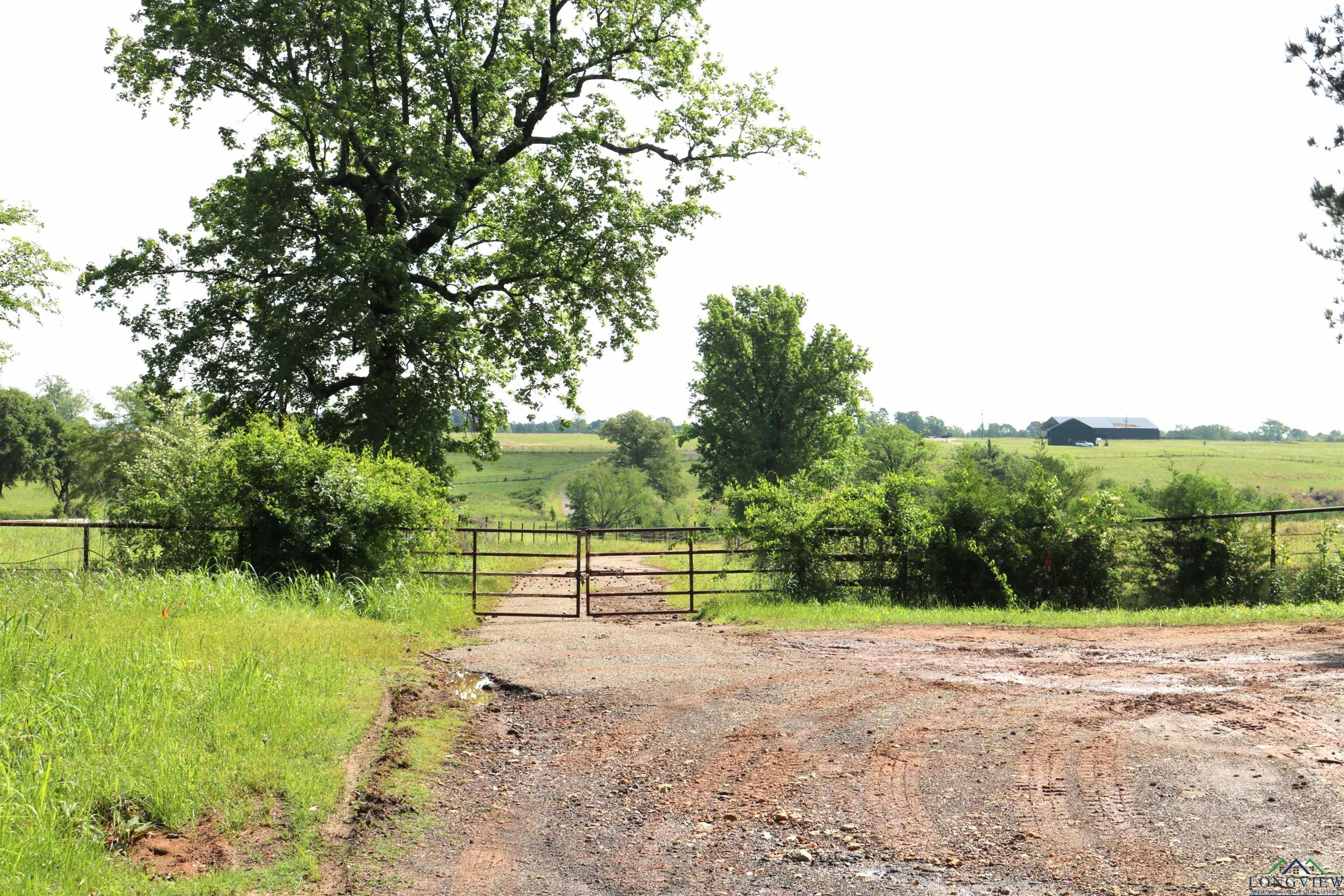 TBD State Hwy 155 North 33.4 Acres, Ore City, Texas image 30