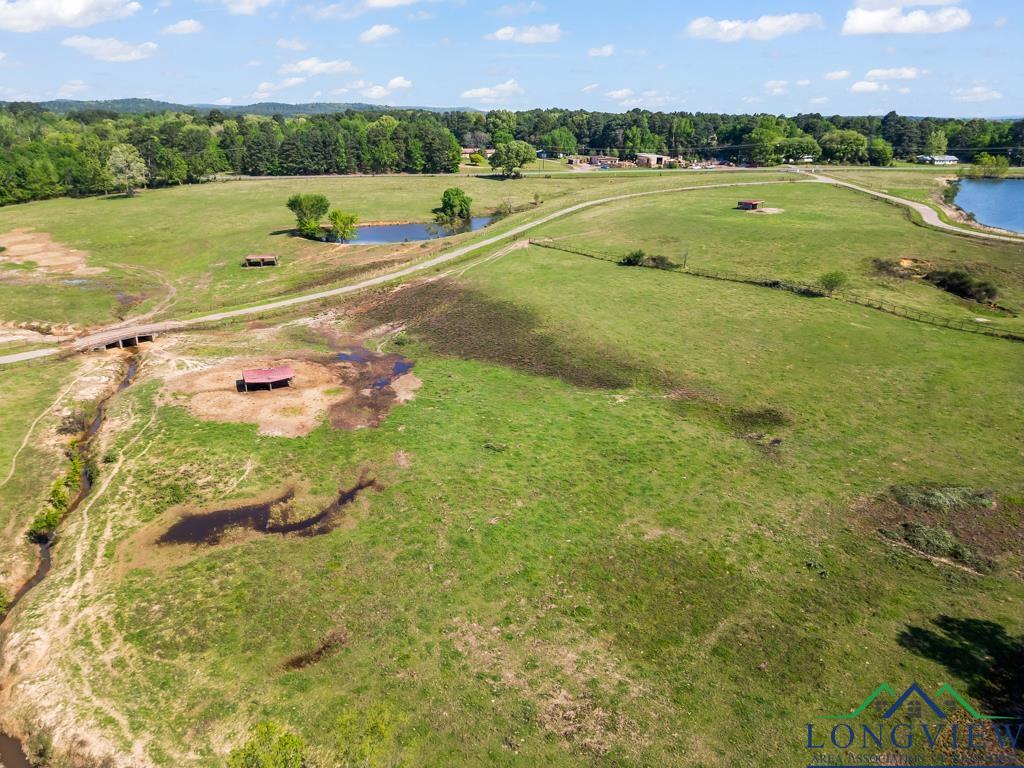 TBD State Hwy 155 North 33.4 Acres, Ore City, Texas image 5