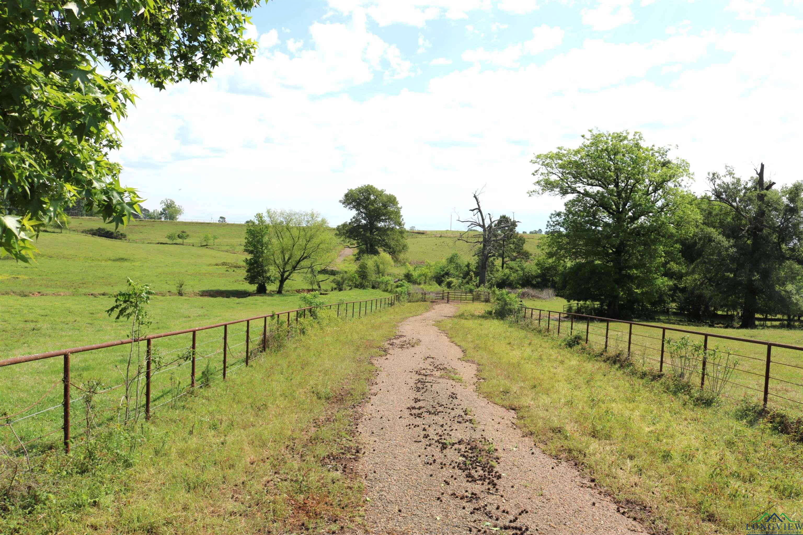 TBD State Hwy 155 North 33.4 Acres, Ore City, Texas image 29