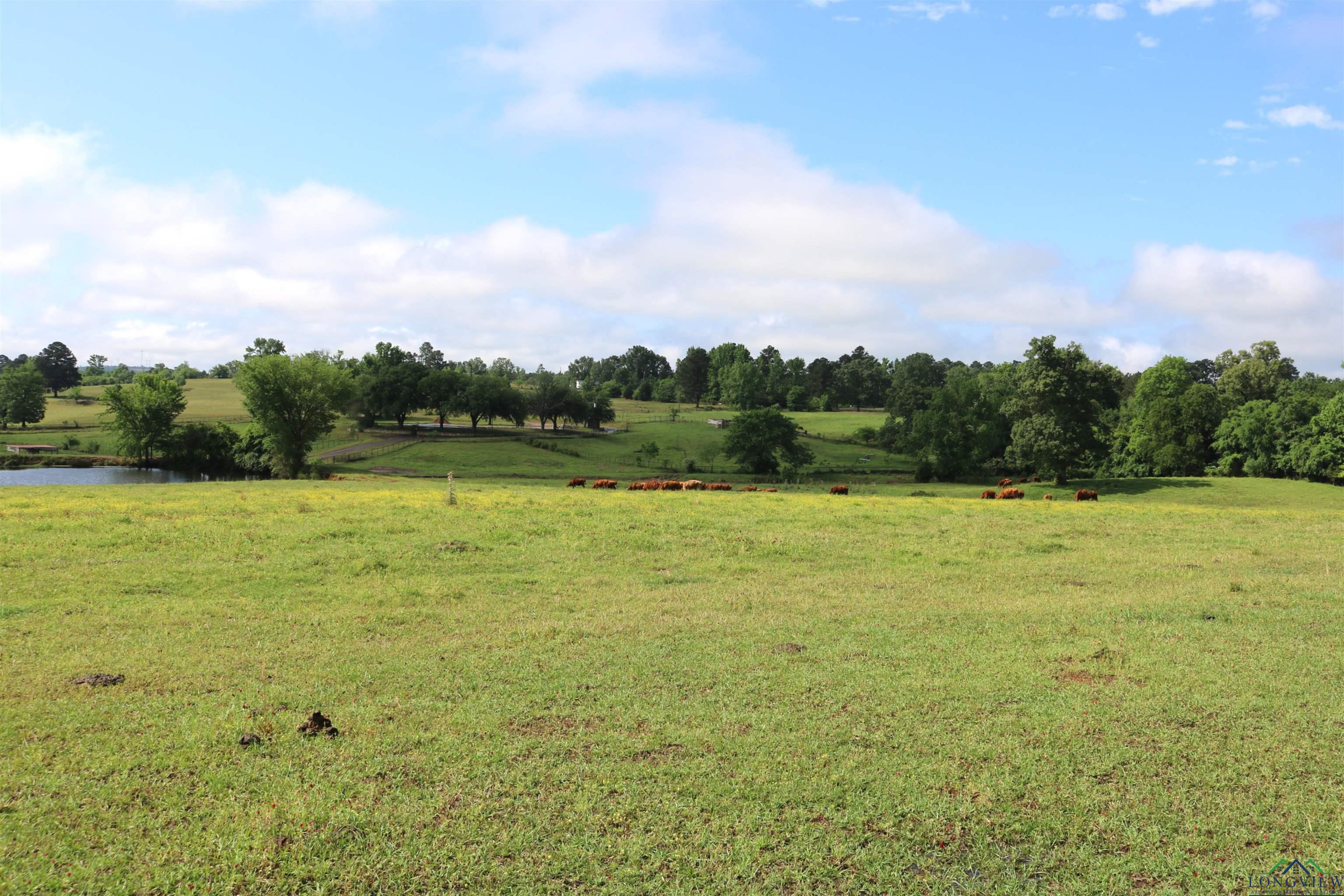 TBD State Hwy 155 North 33.4 Acres, Ore City, Texas image 22