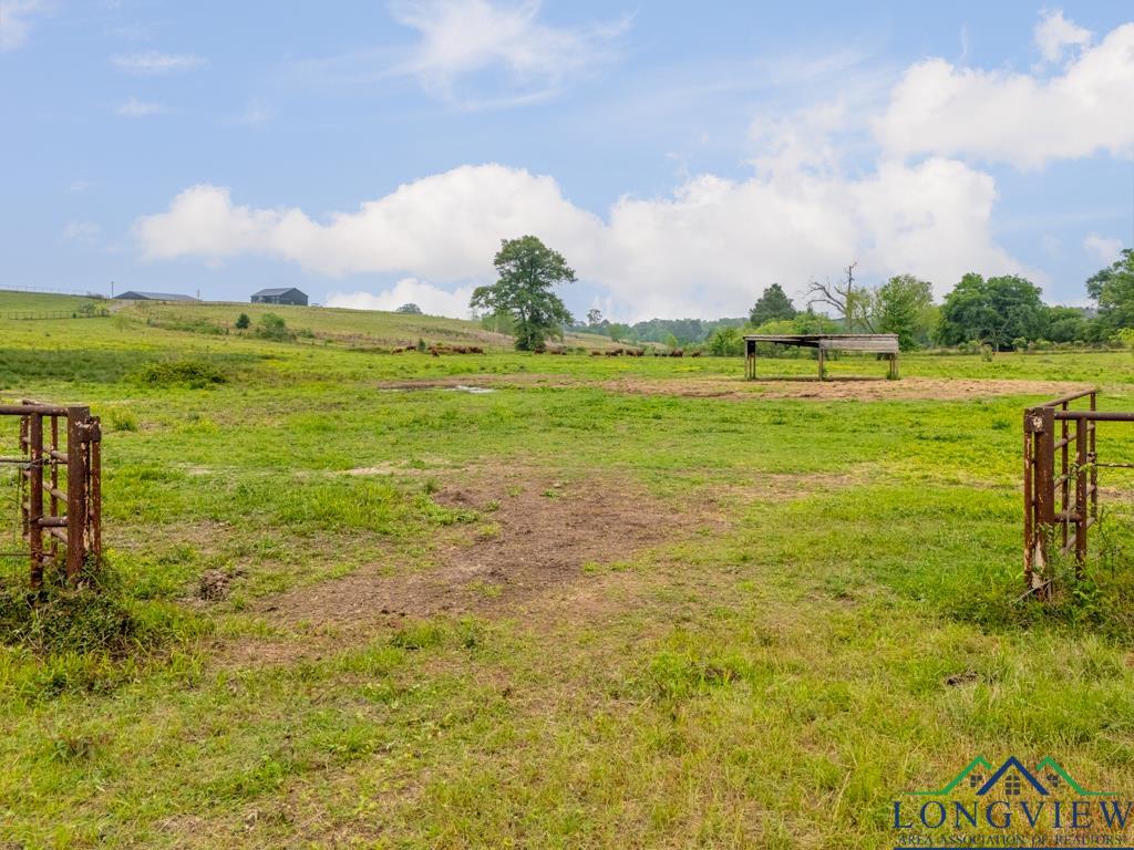 TBD State Hwy 155 North 33.4 Acres, Ore City, Texas image 7