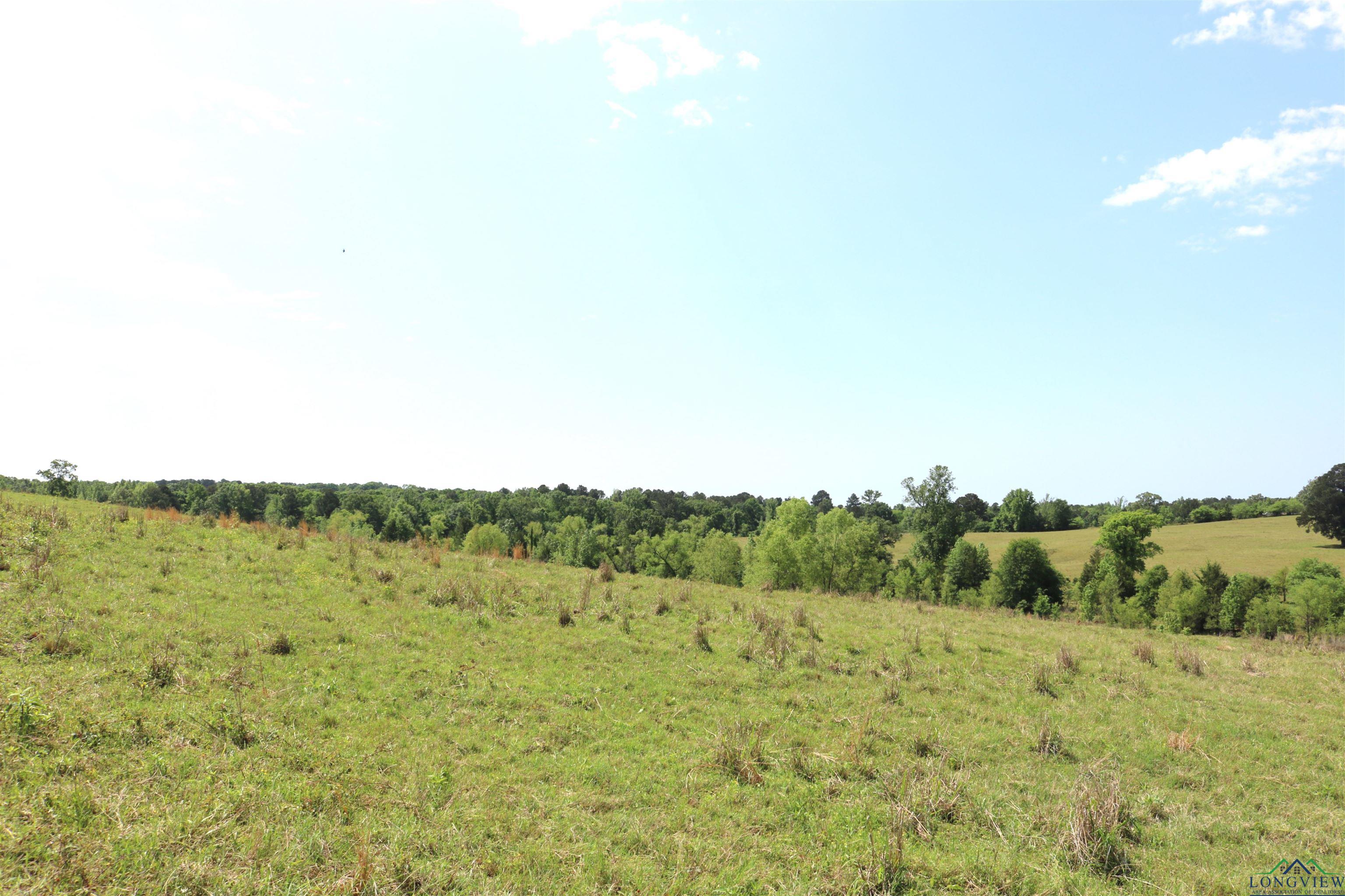 TBD State Hwy 155 North 33.4 Acres, Ore City, Texas image 25