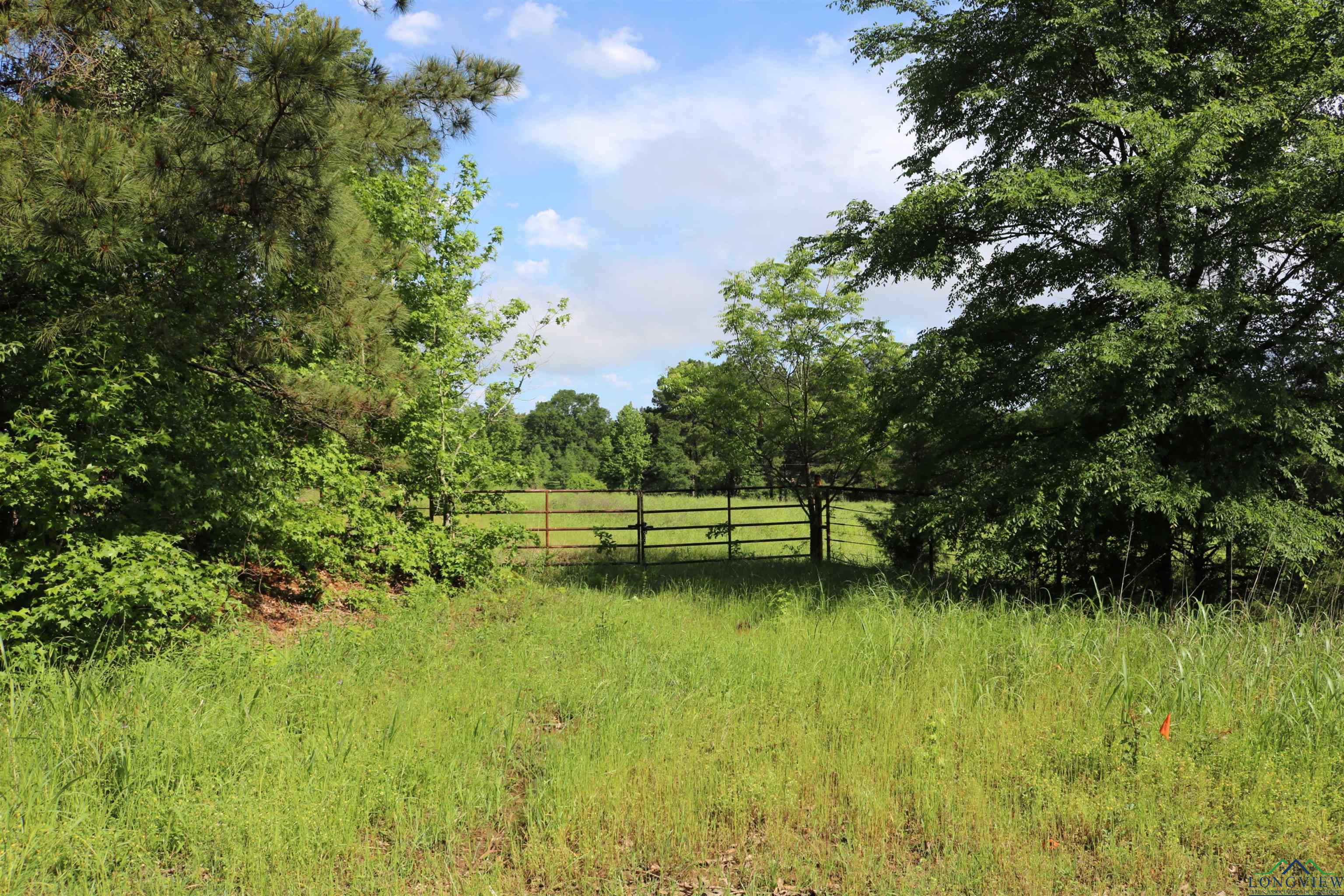 TBD State Hwy 155 North 33.4 Acres, Ore City, Texas image 35