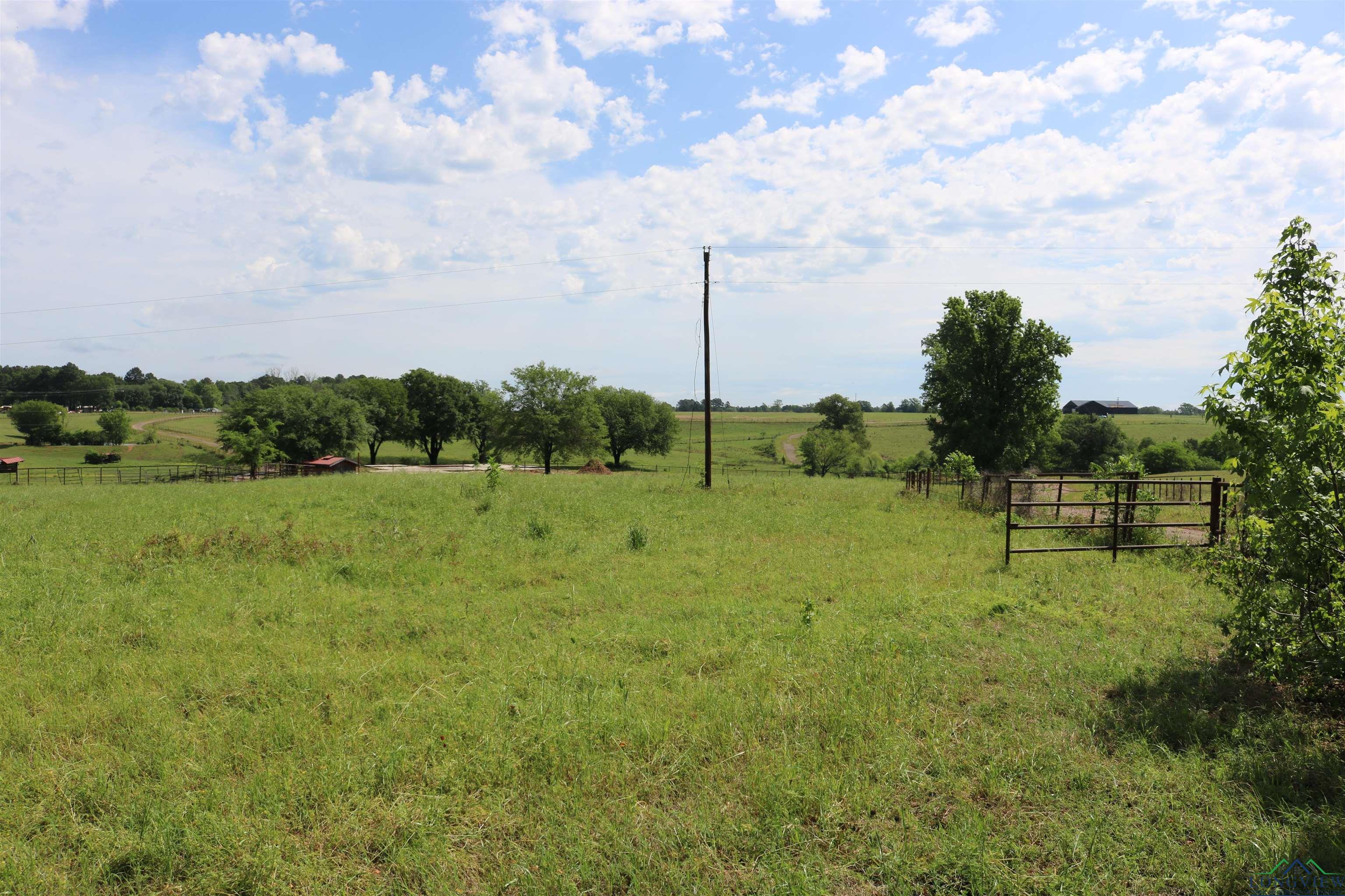 TBD State Hwy 155 North 33.4 Acres, Ore City, Texas image 31
