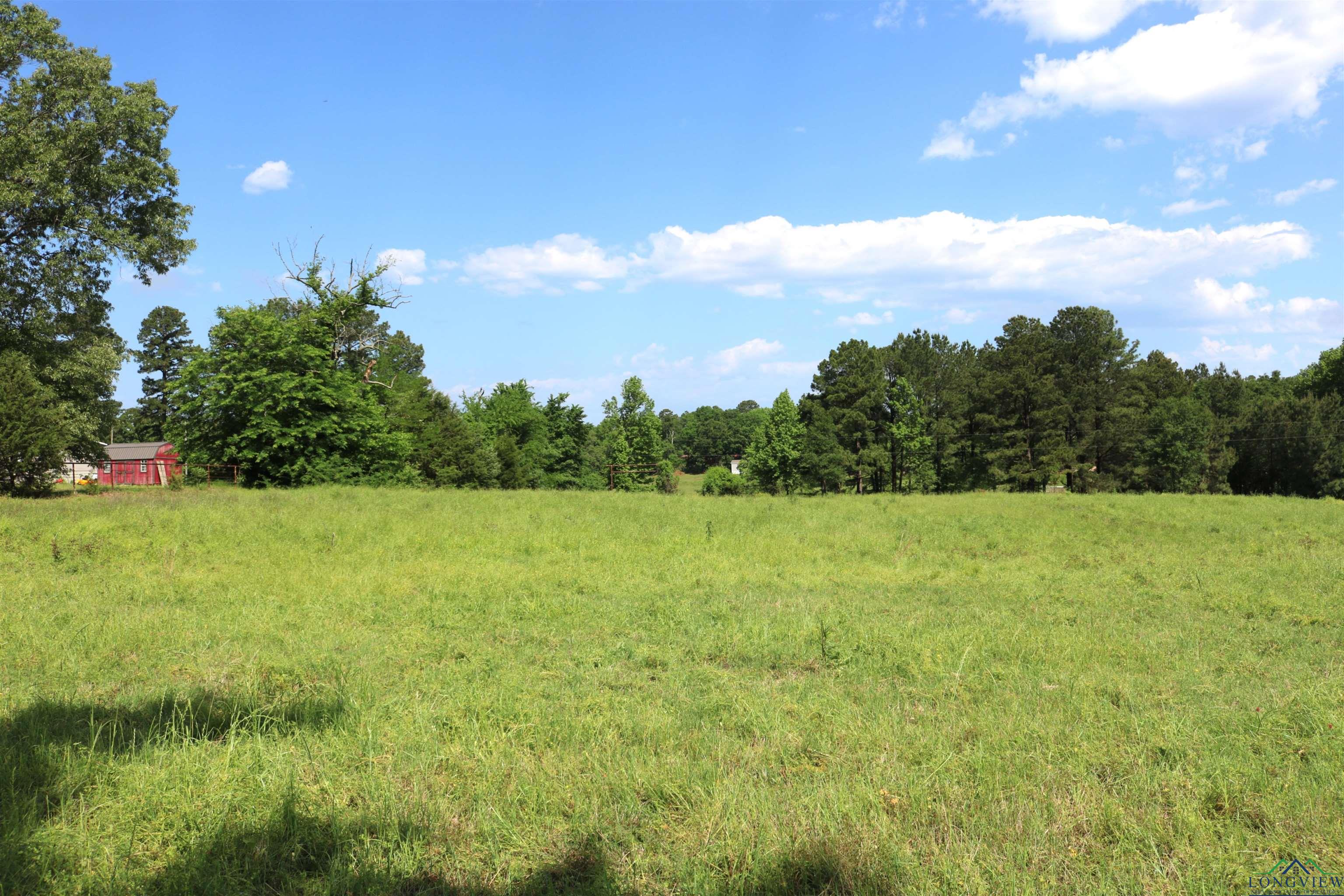 TBD State Hwy 155 North 33.4 Acres, Ore City, Texas image 33