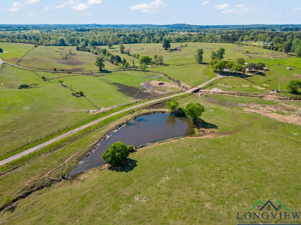 TBD State Hwy 155 North 33.4 Acres, Ore City, Texas image 6