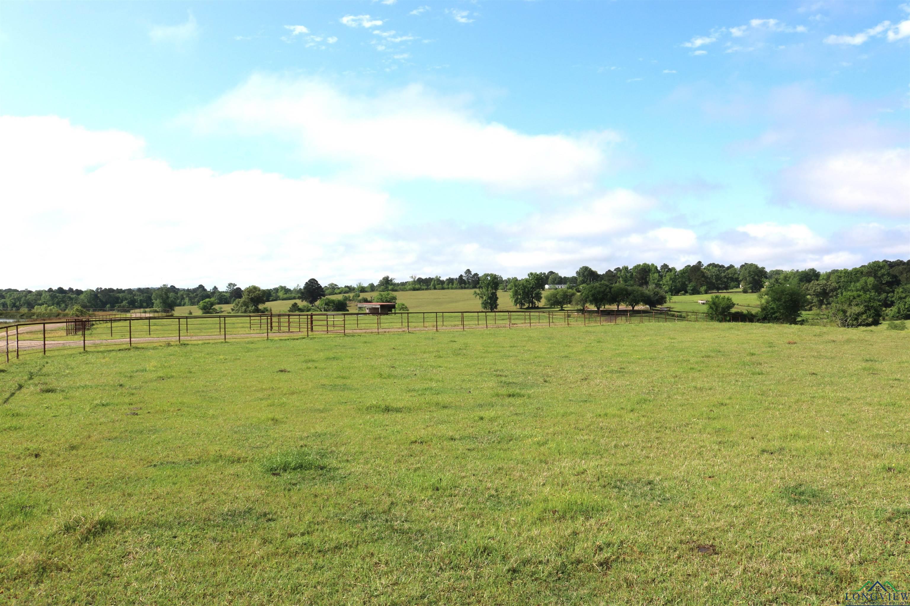 TBD State Hwy 155 North 33.4 Acres, Ore City, Texas image 19