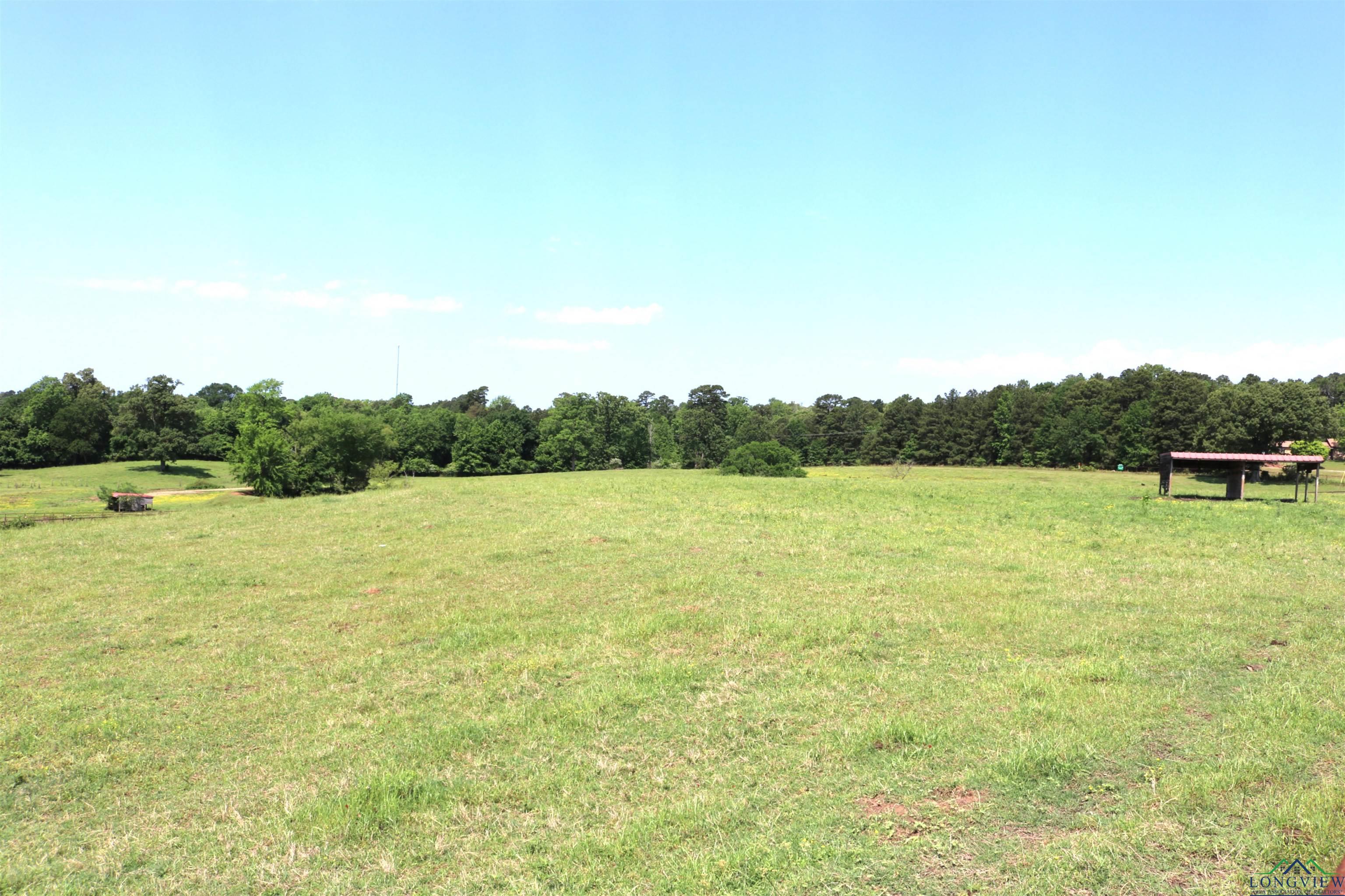 TBD State Hwy 155 North 33.4 Acres, Ore City, Texas image 14