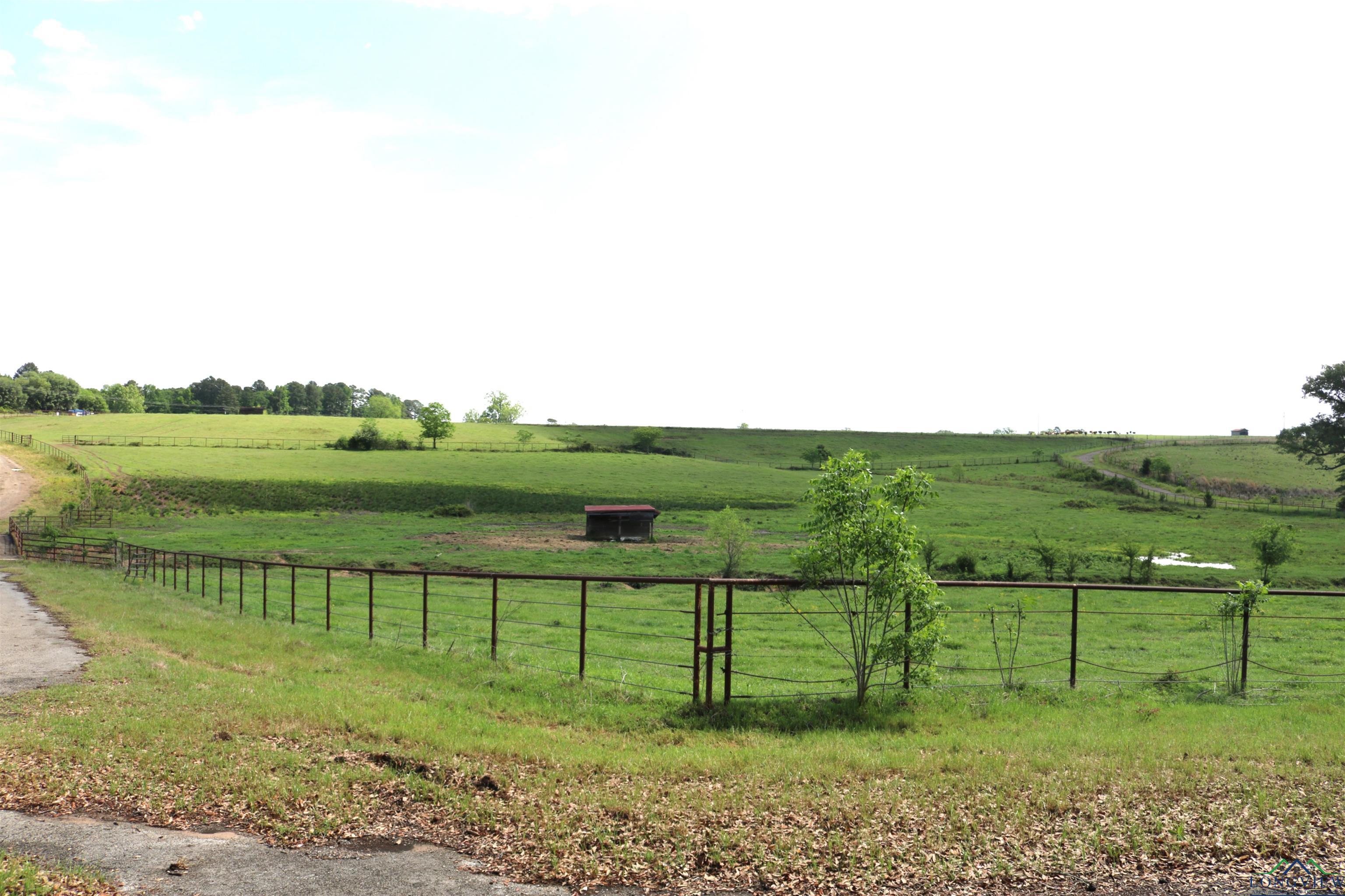 TBD State Hwy 155 North 33.4 Acres, Ore City, Texas image 18