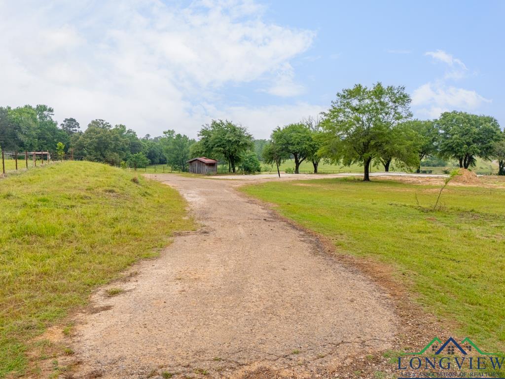 TBD State Hwy 155 North 33.4 Acres, Ore City, Texas image 11
