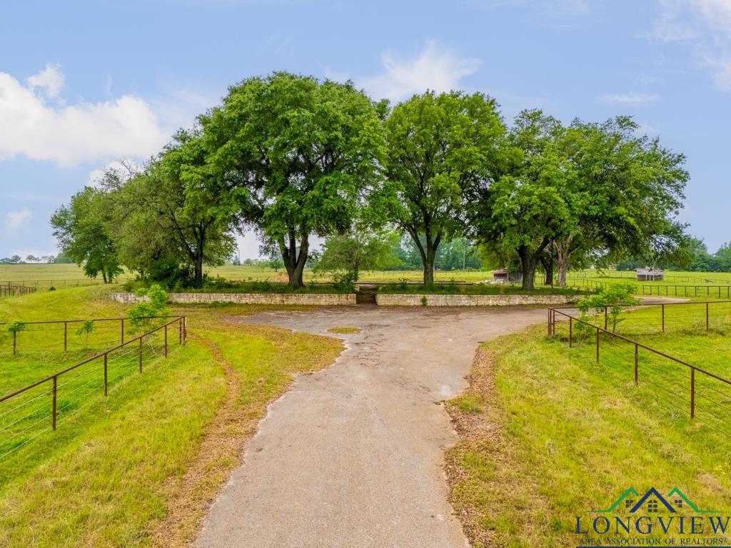 TBD State Hwy 155 North 33.4 Acres, Ore City, Texas image 4