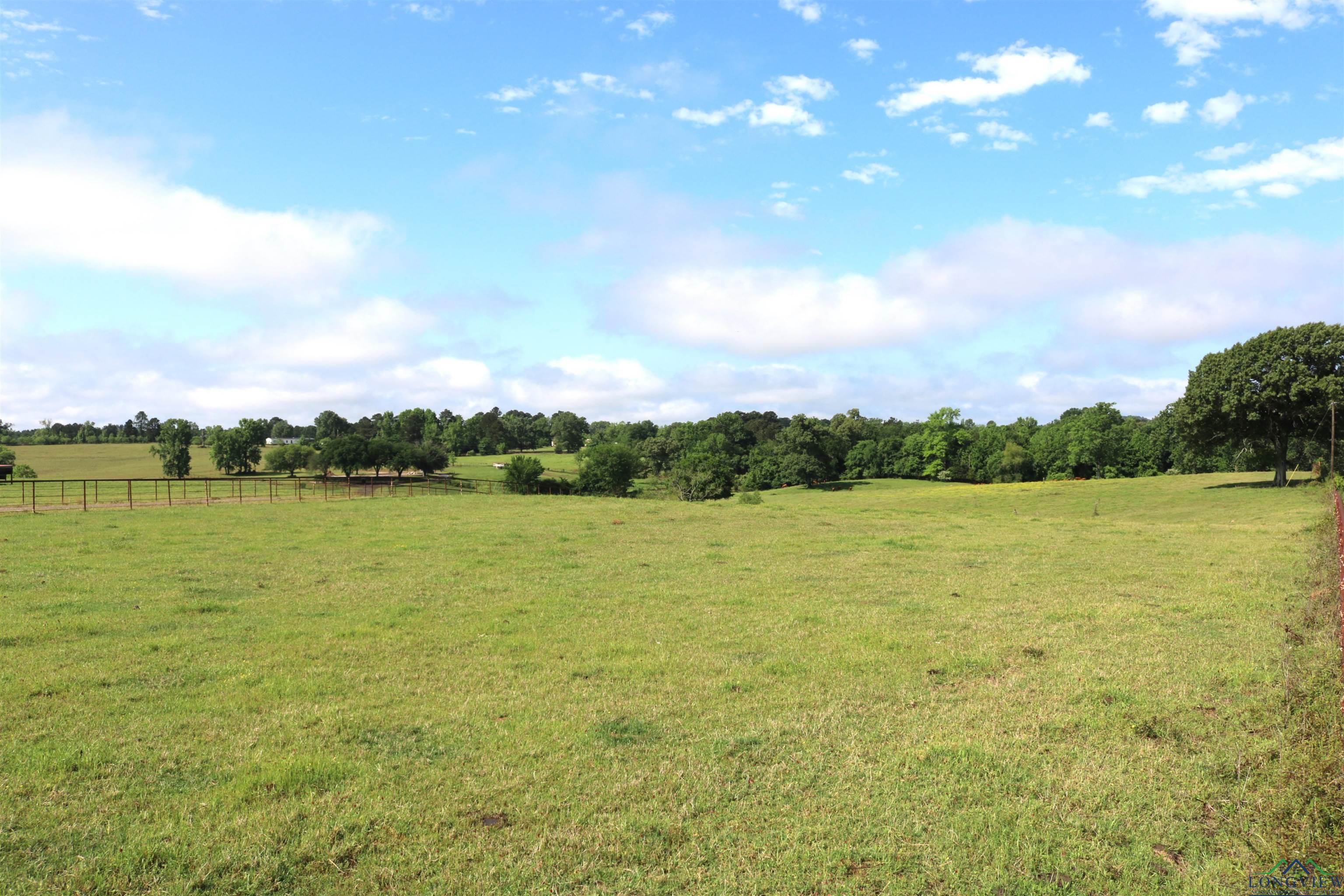TBD State Hwy 155 North 33.4 Acres, Ore City, Texas image 20