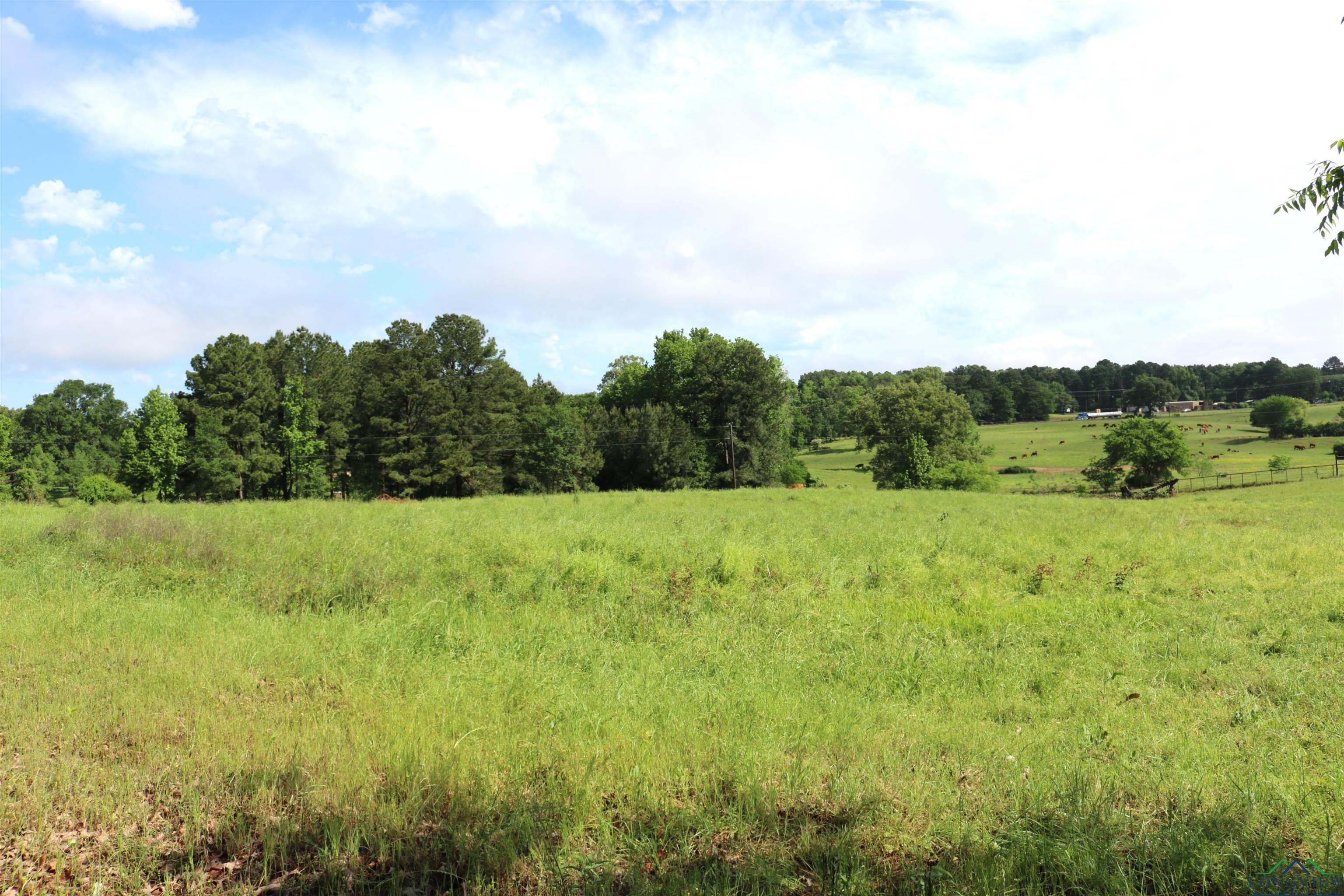 TBD State Hwy 155 North 33.4 Acres, Ore City, Texas image 36