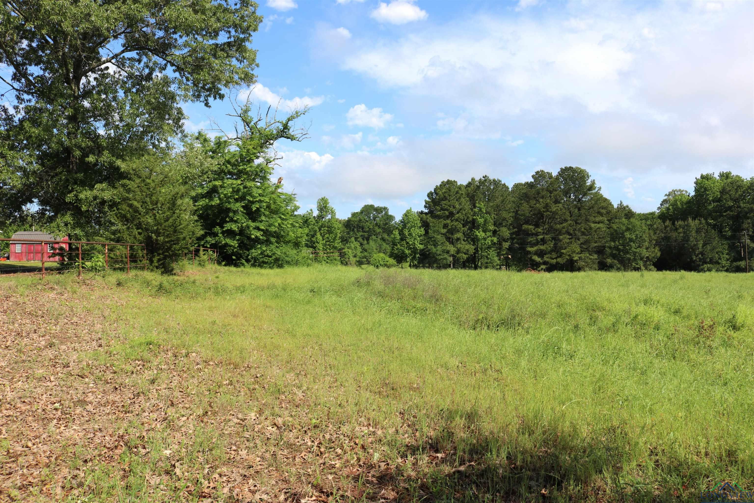 TBD State Hwy 155 North 33.4 Acres, Ore City, Texas image 34