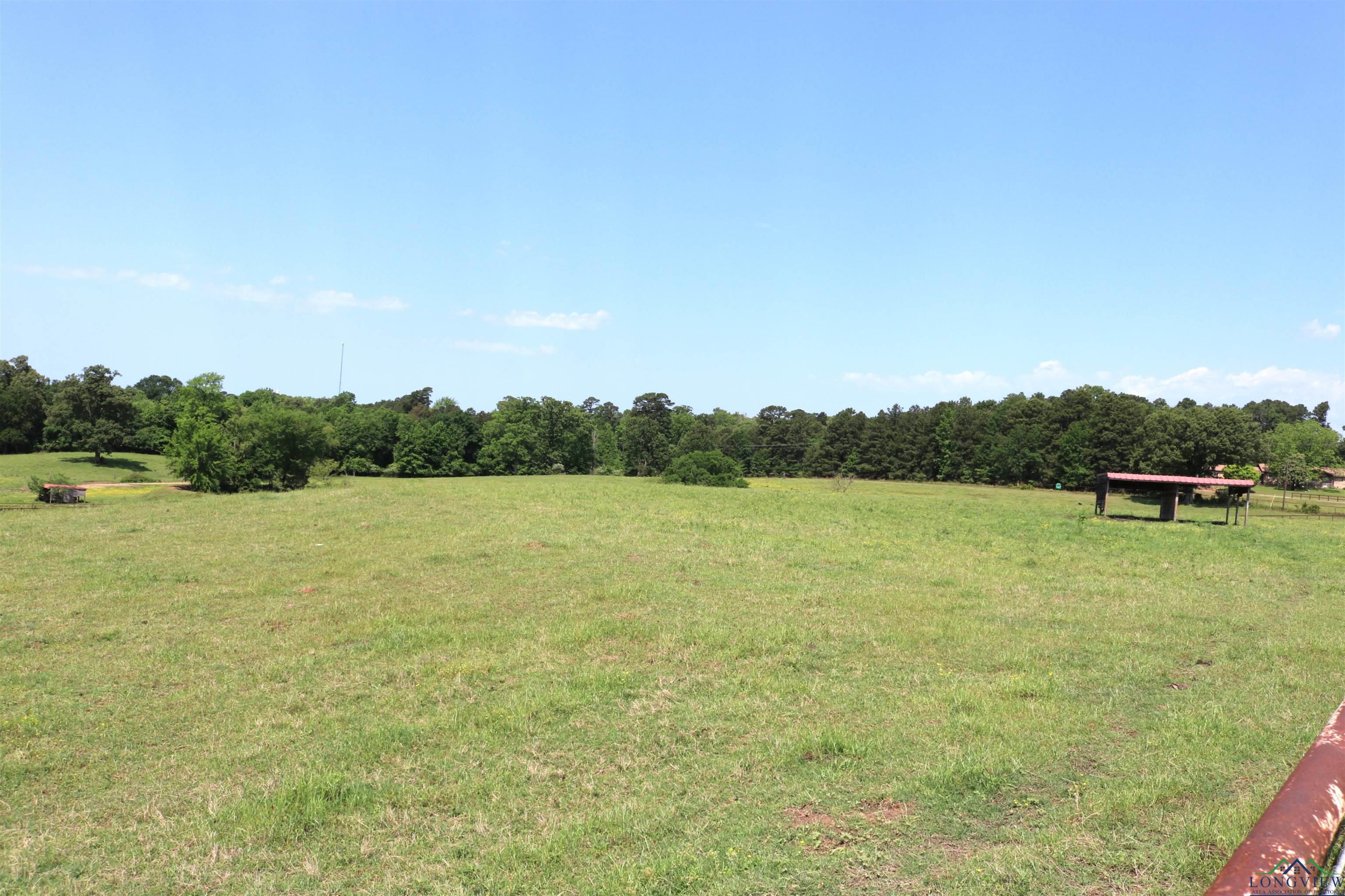 TBD State Hwy 155 North 33.4 Acres, Ore City, Texas image 15