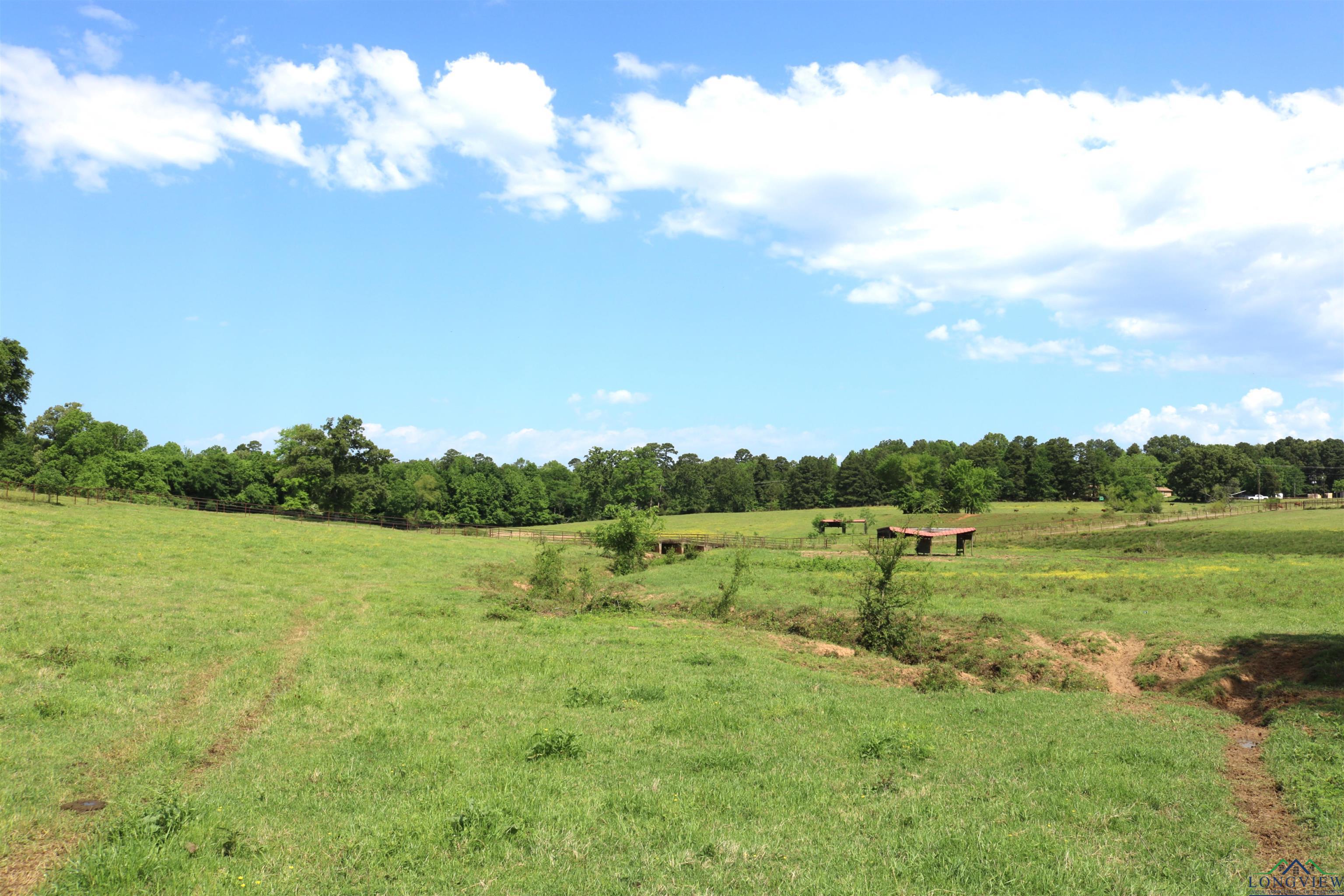 TBD State Hwy 155 North 33.4 Acres, Ore City, Texas image 26