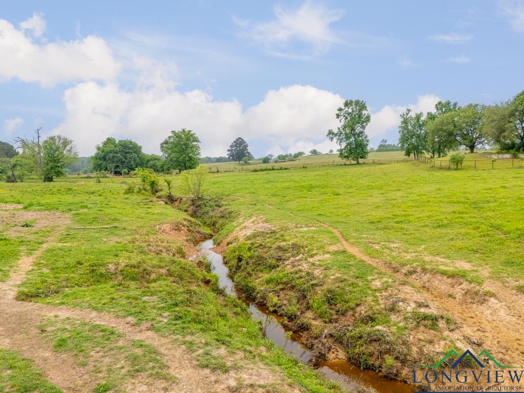 TBD State Hwy 155 North 33.4 Acres, Ore City, Texas image 8