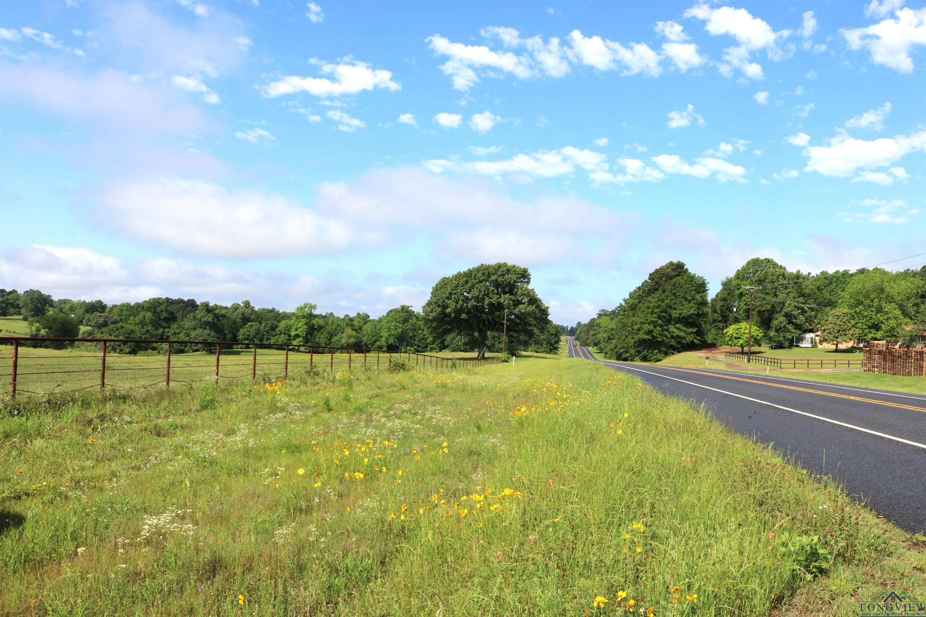 TBD State Hwy 155 North 33.4 Acres, Ore City, Texas image 3