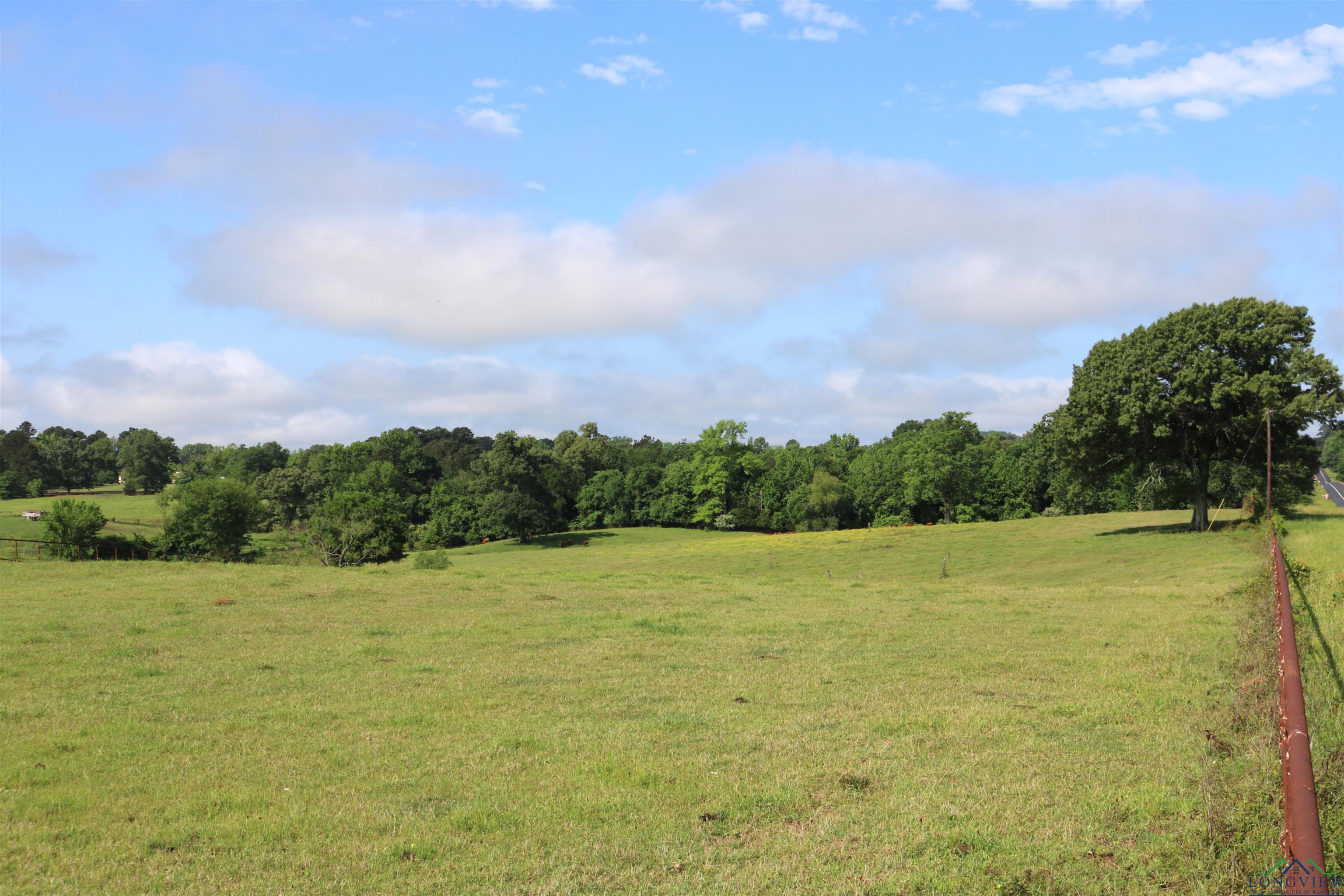 TBD State Hwy 155 North 33.4 Acres, Ore City, Texas image 21