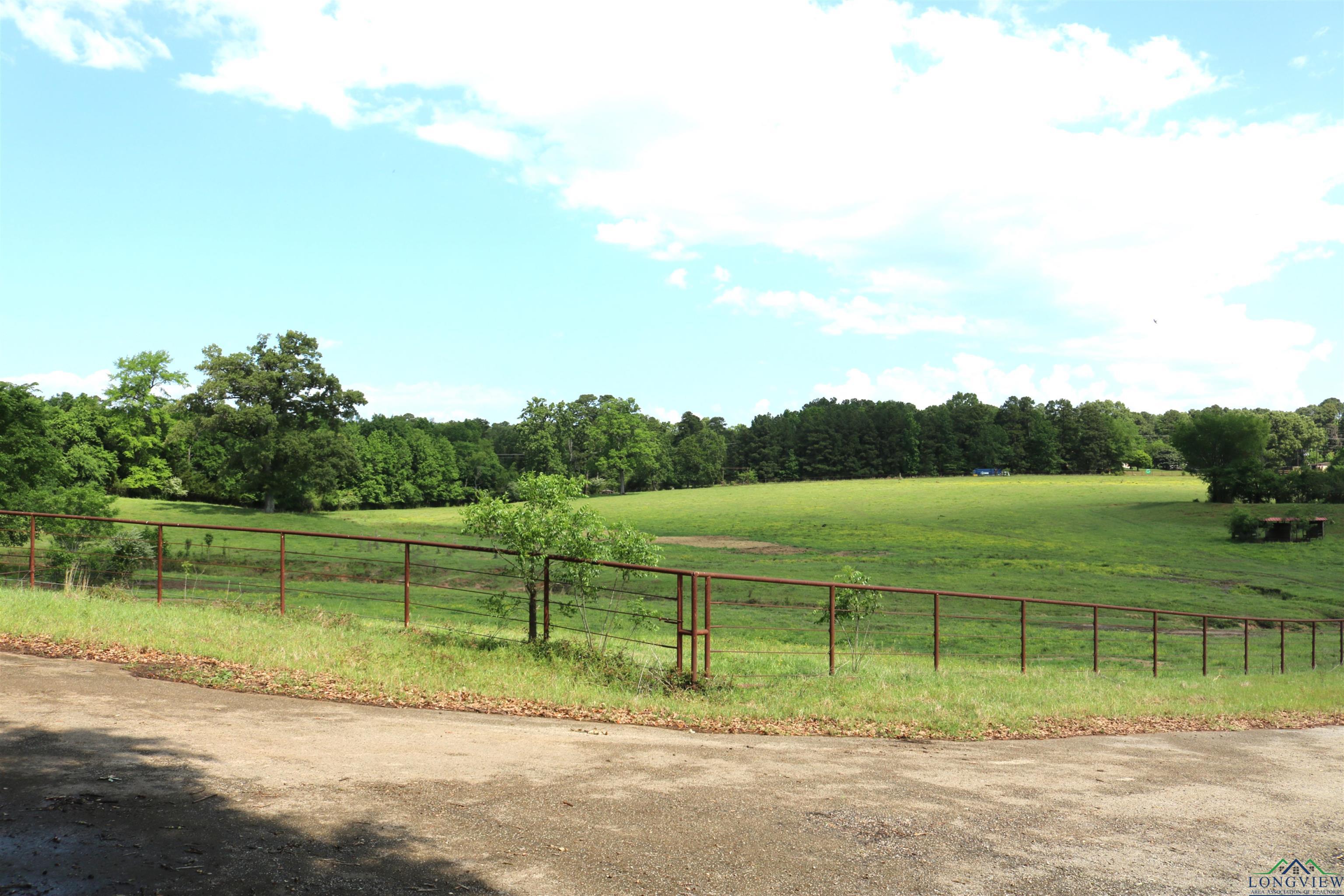 TBD State Hwy 155 North 33.4 Acres, Ore City, Texas image 27