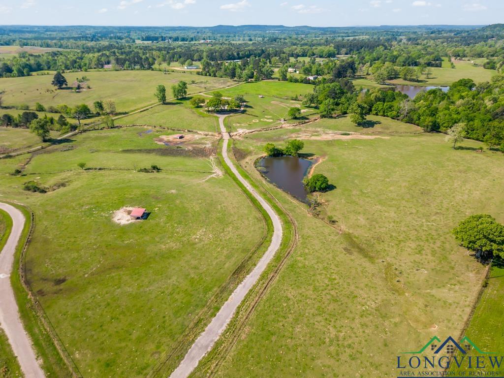 TBD State Hwy 155 North 33.4 Acres, Ore City, Texas image 2
