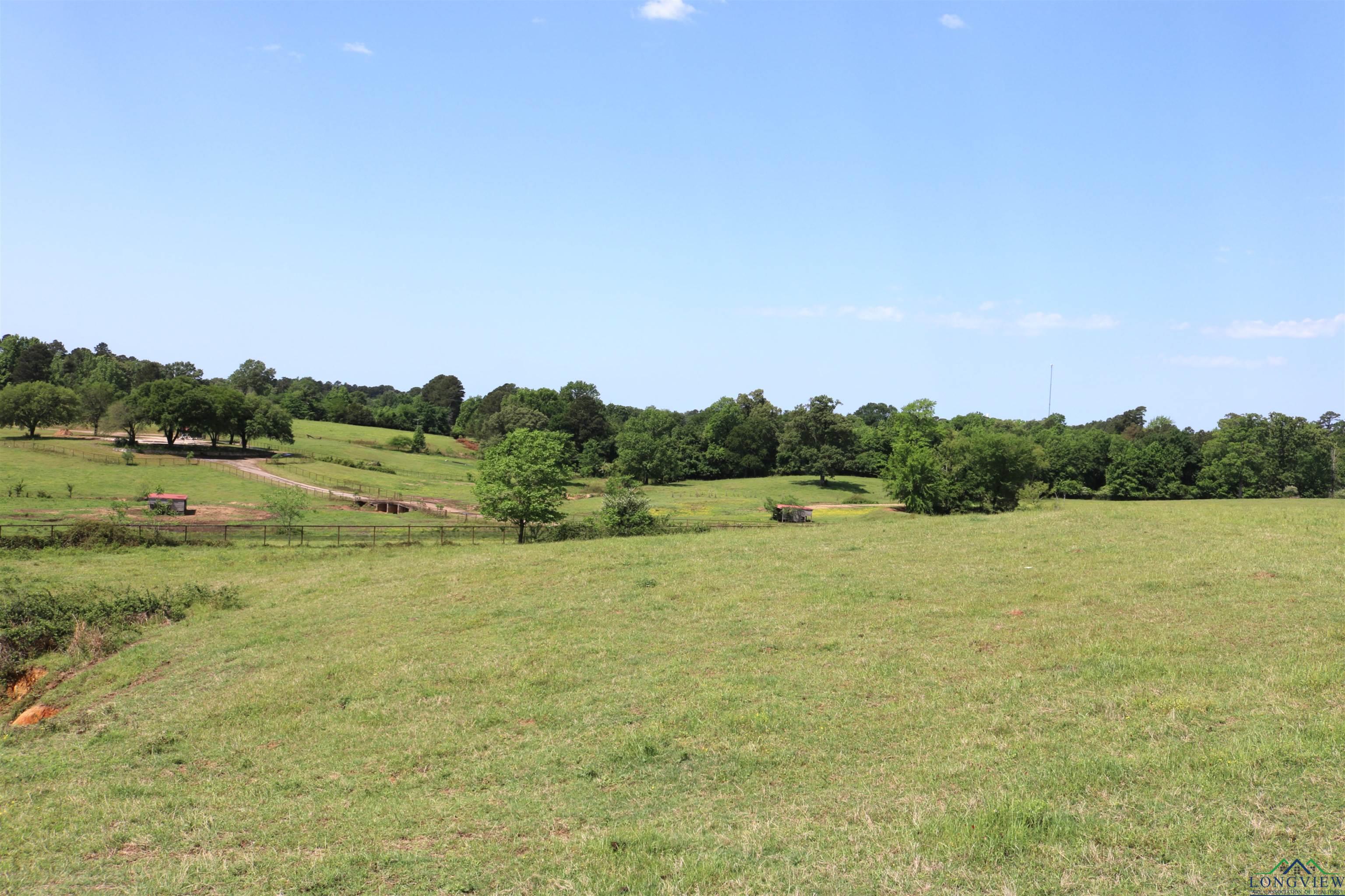 TBD State Hwy 155 North 33.4 Acres, Ore City, Texas image 16