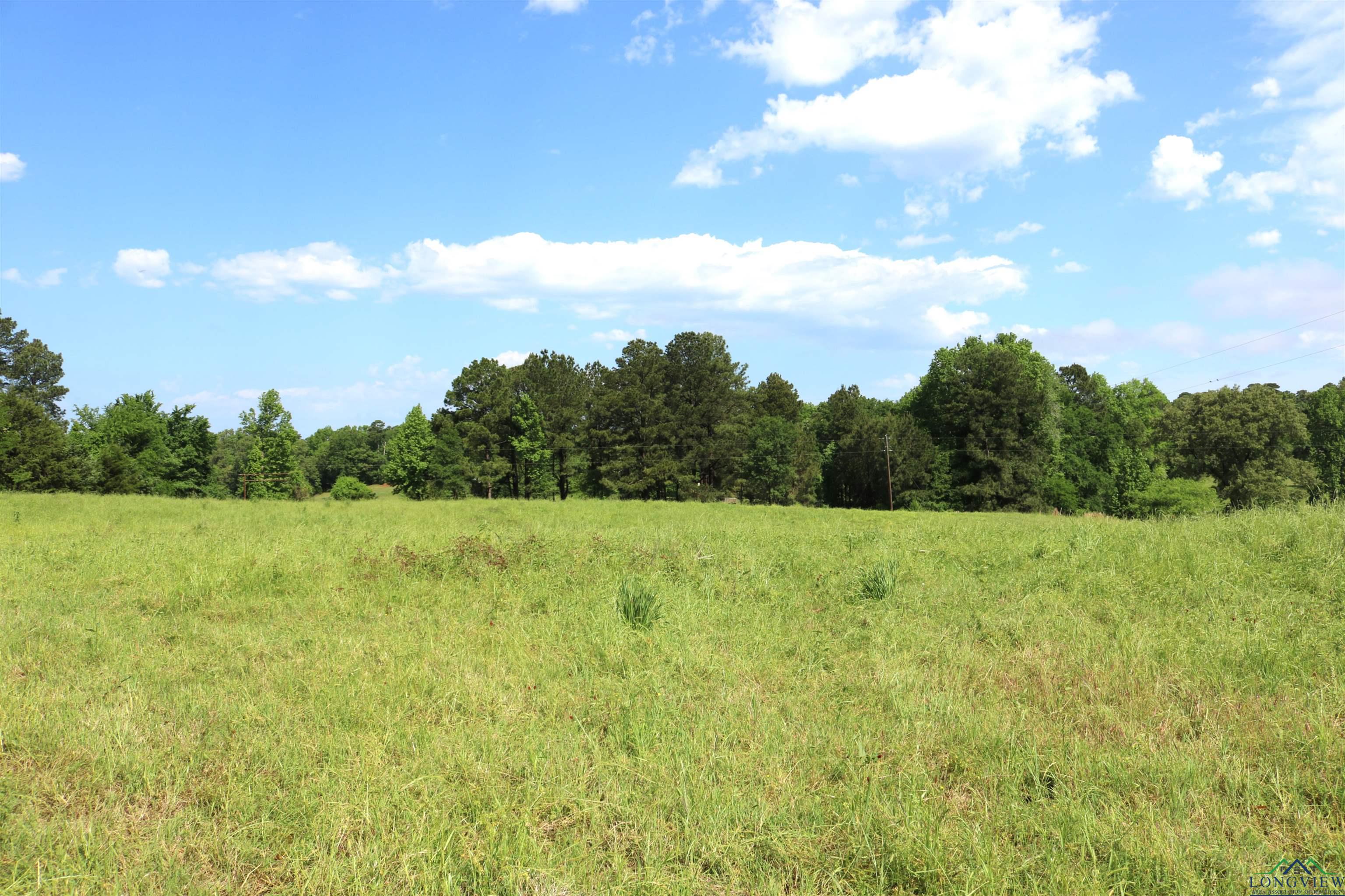 TBD State Hwy 155 North 33.4 Acres, Ore City, Texas image 32