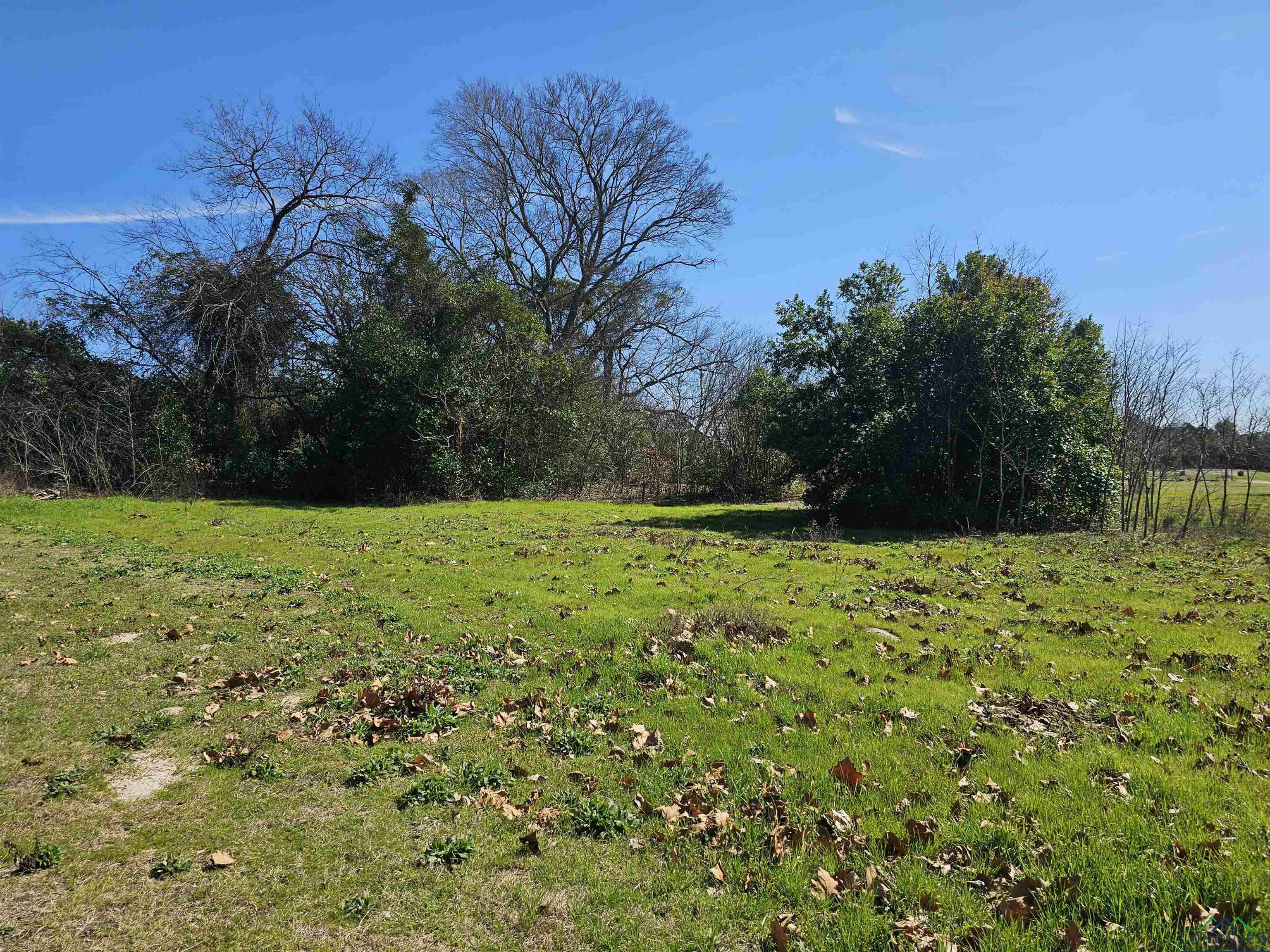 TBD Fm 1002 (.7229 Acres), Big Sandy, Texas image 1