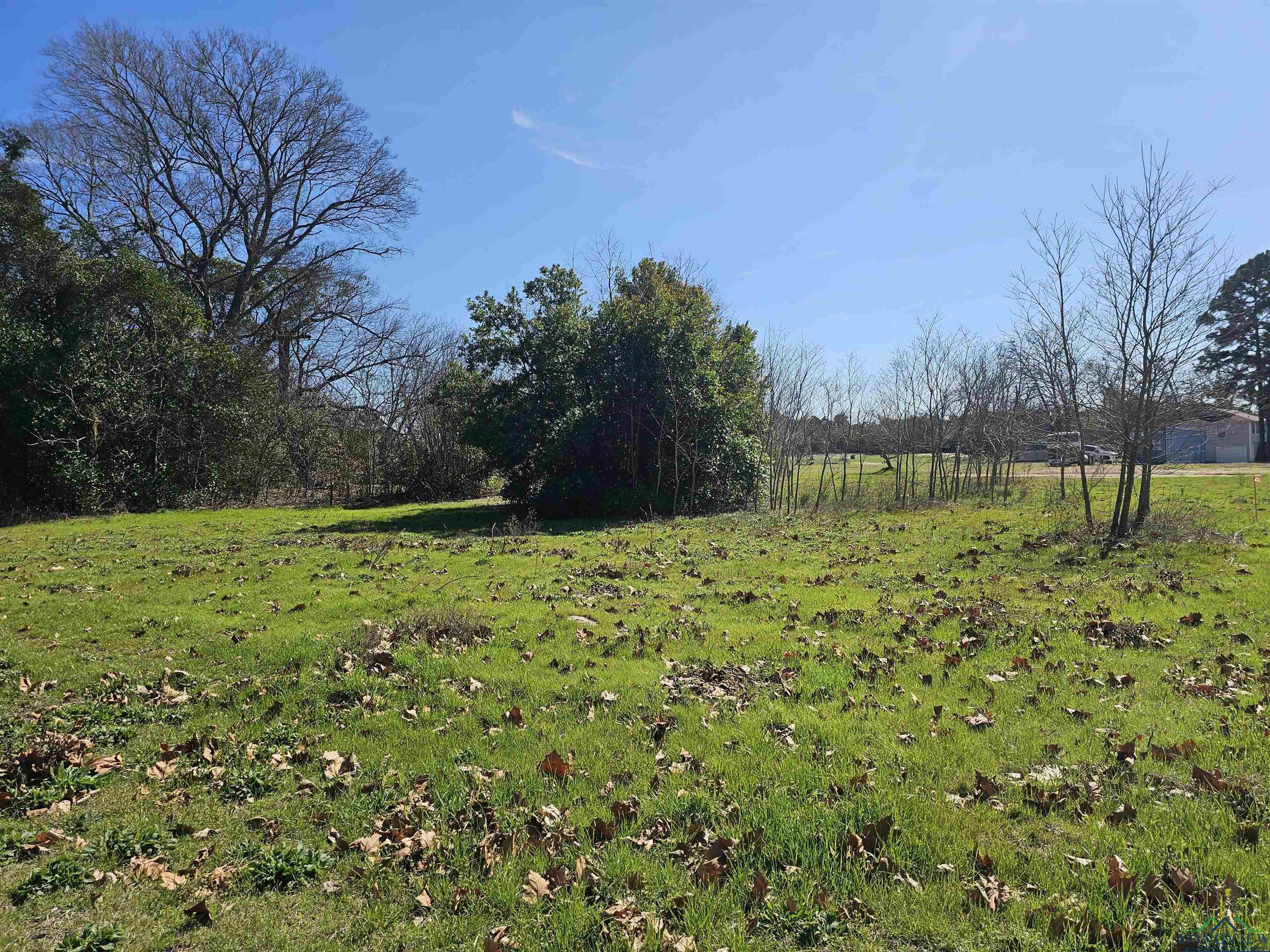 TBD Fm 1002 (.7229 Acres), Big Sandy, Texas image 3