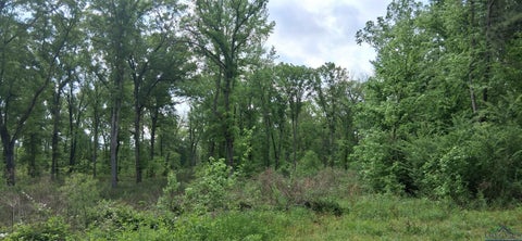 Vacant Land For Sale - TBD Cass County Road 2925<br/> Hughes Springs, TX 75656