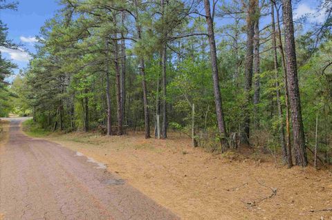 Vacant Land For Sale - TBD Fm 839<br/> Laneville, TX 75667