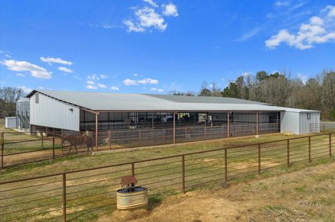 Vacant Land For Sale - 309 COUNTY ROAD 268<br/> Beckville, TX 75631