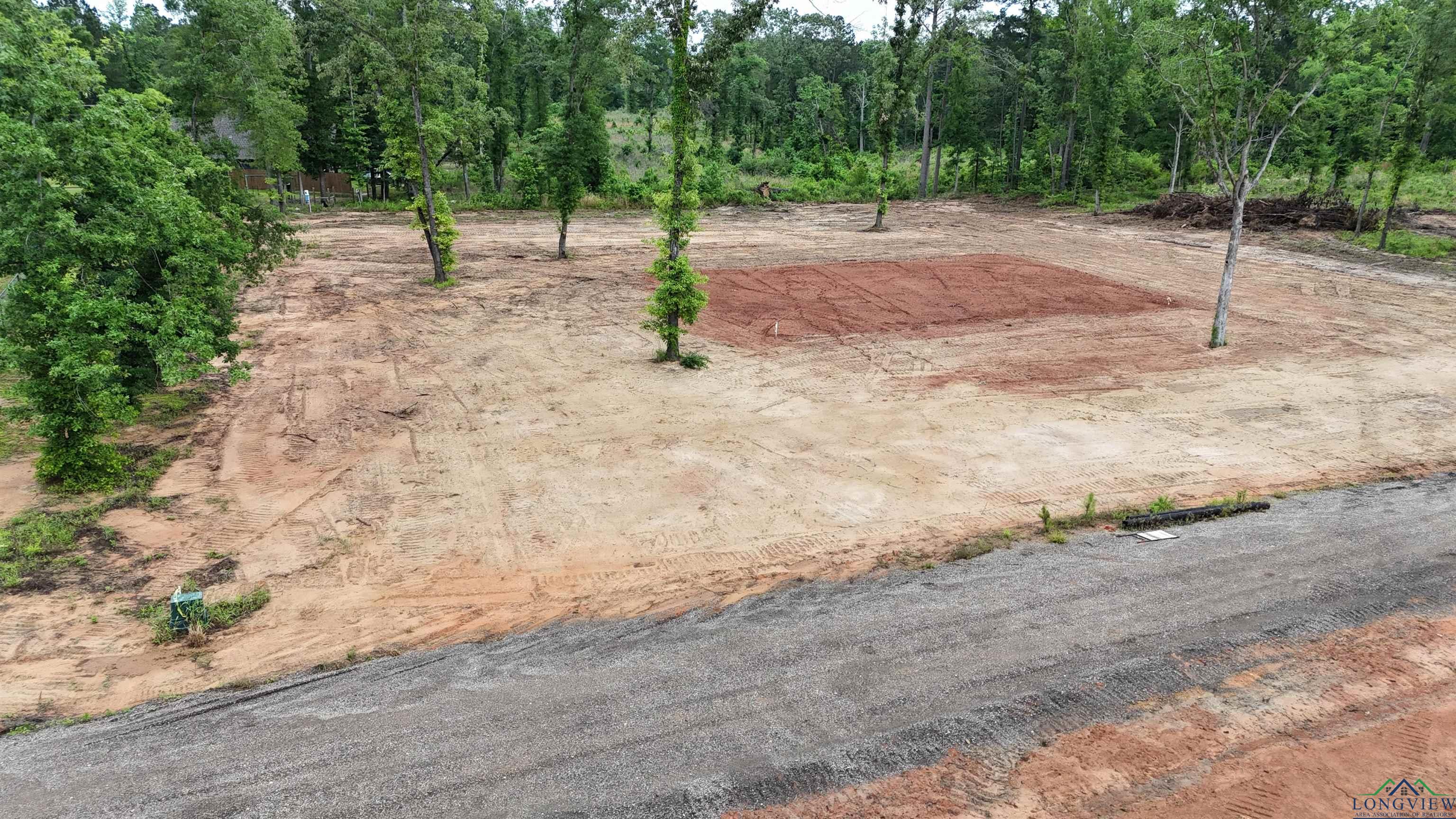 Private Road 1111, Diana, Texas image 7
