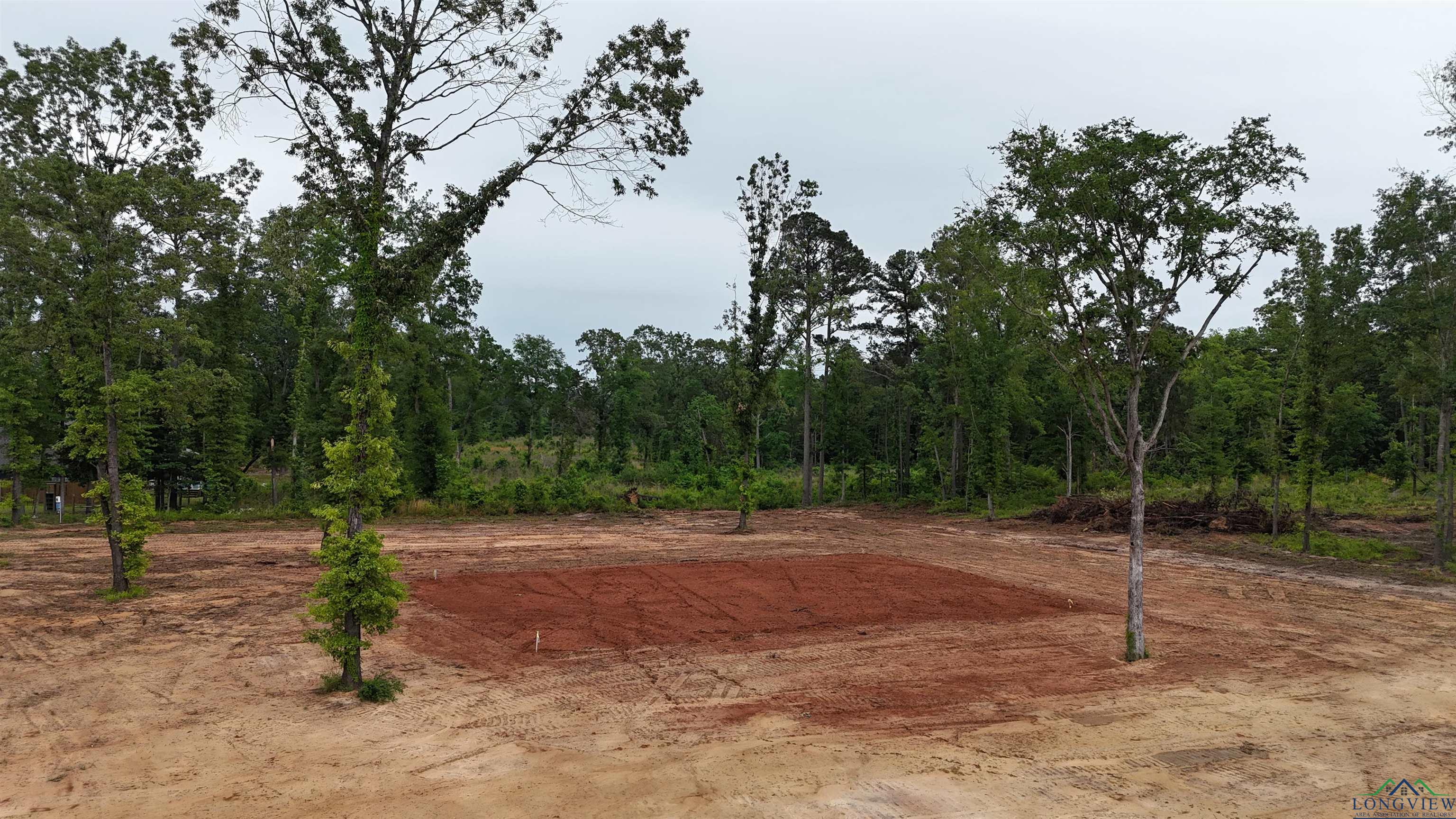 Private Road 1111, Diana, Texas image 1