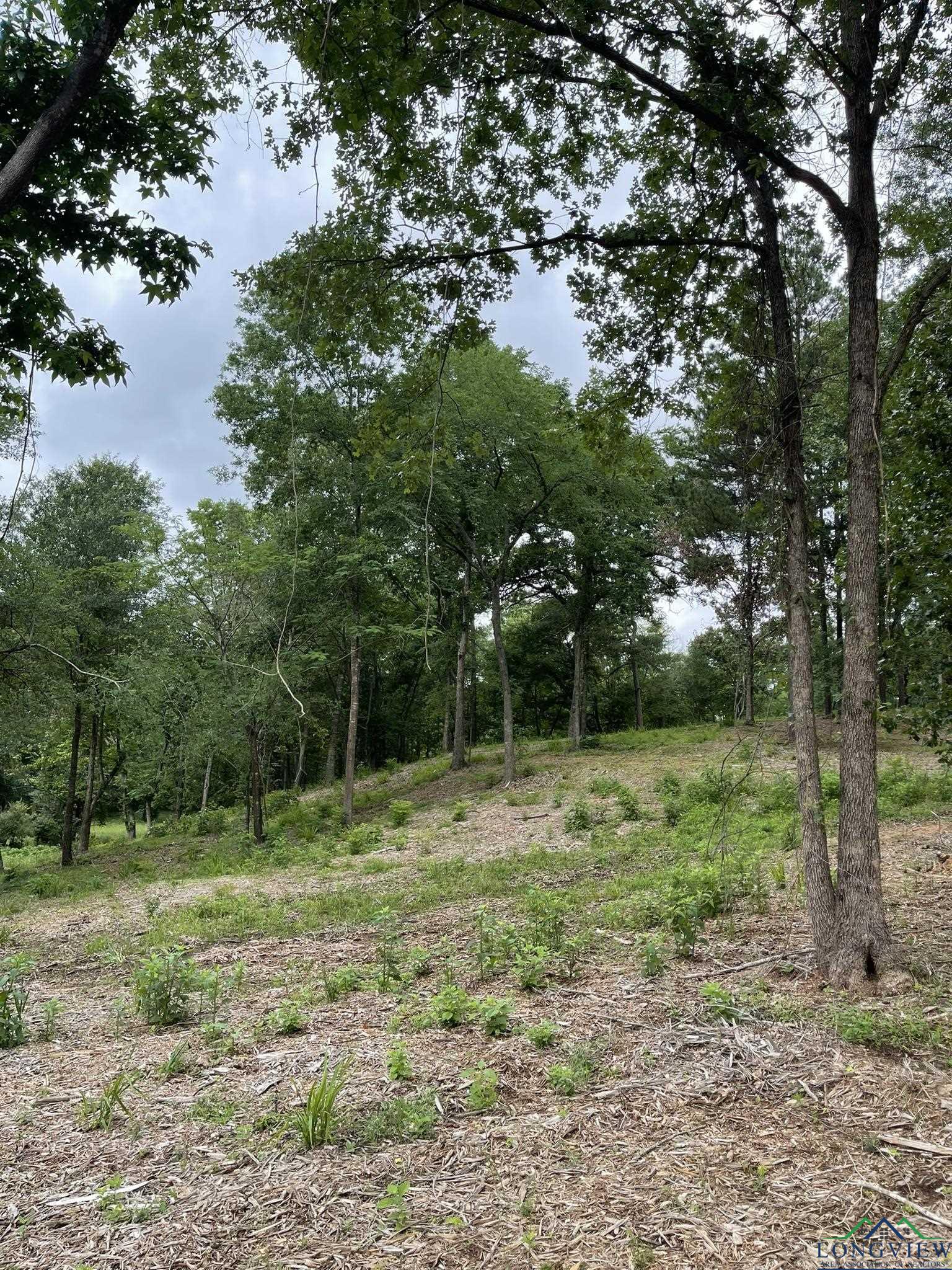 9.276 Ac Mockingbird-inverness, Longview, Texas image 16