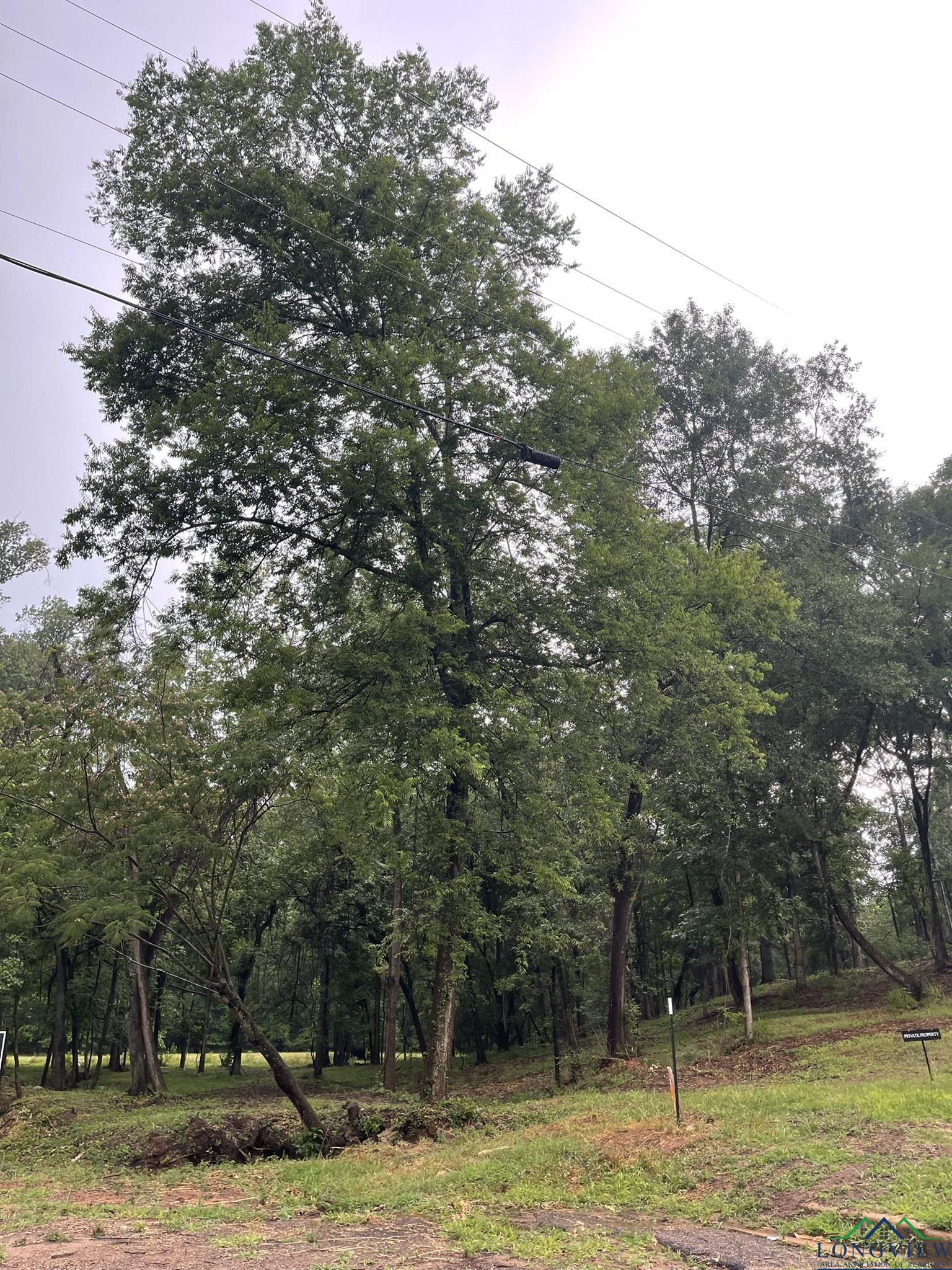 9.276 Ac Mockingbird-inverness, Longview, Texas image 28