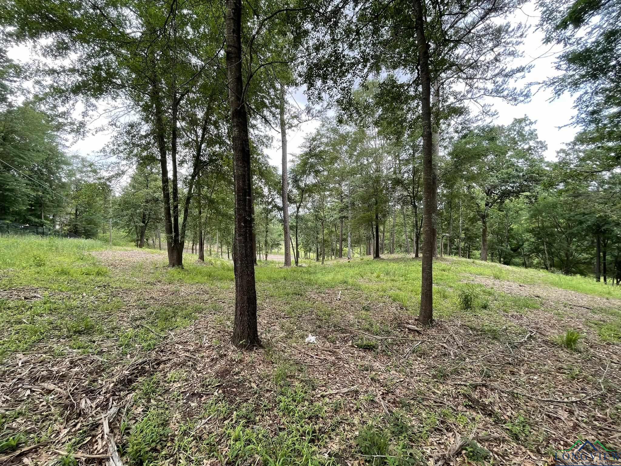 9.276 Ac Mockingbird-inverness, Longview, Texas image 20