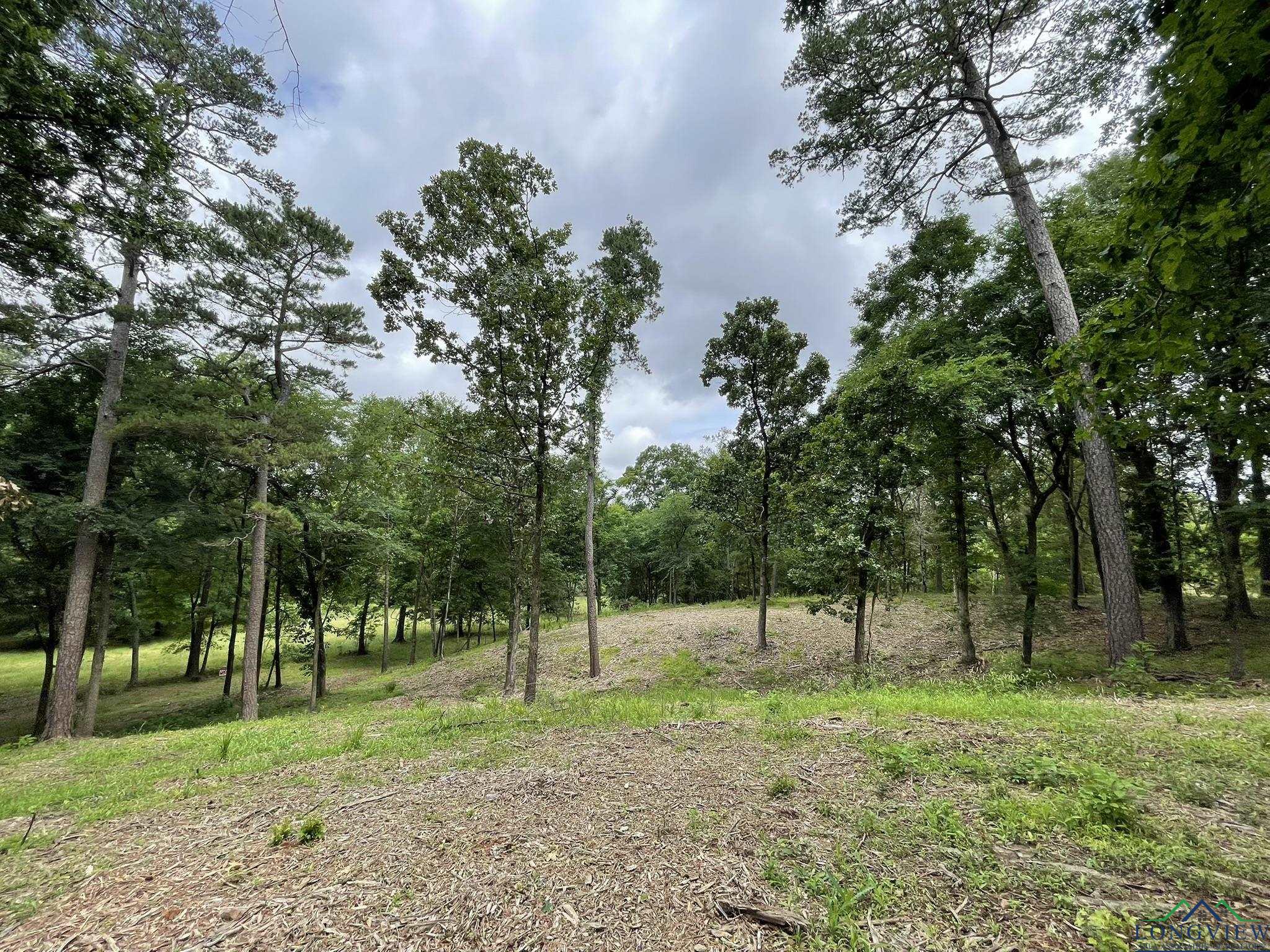 9.276 Ac Mockingbird-inverness, Longview, Texas image 18