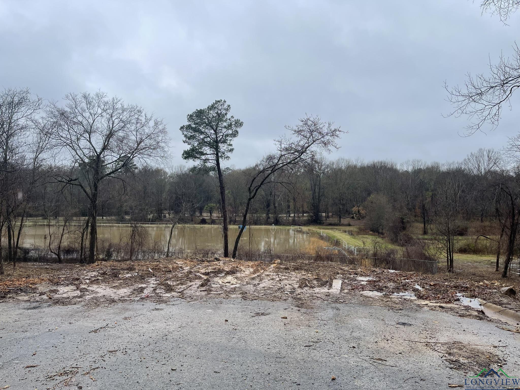 9.276 Ac Mockingbird-inverness, Longview, Texas image 9