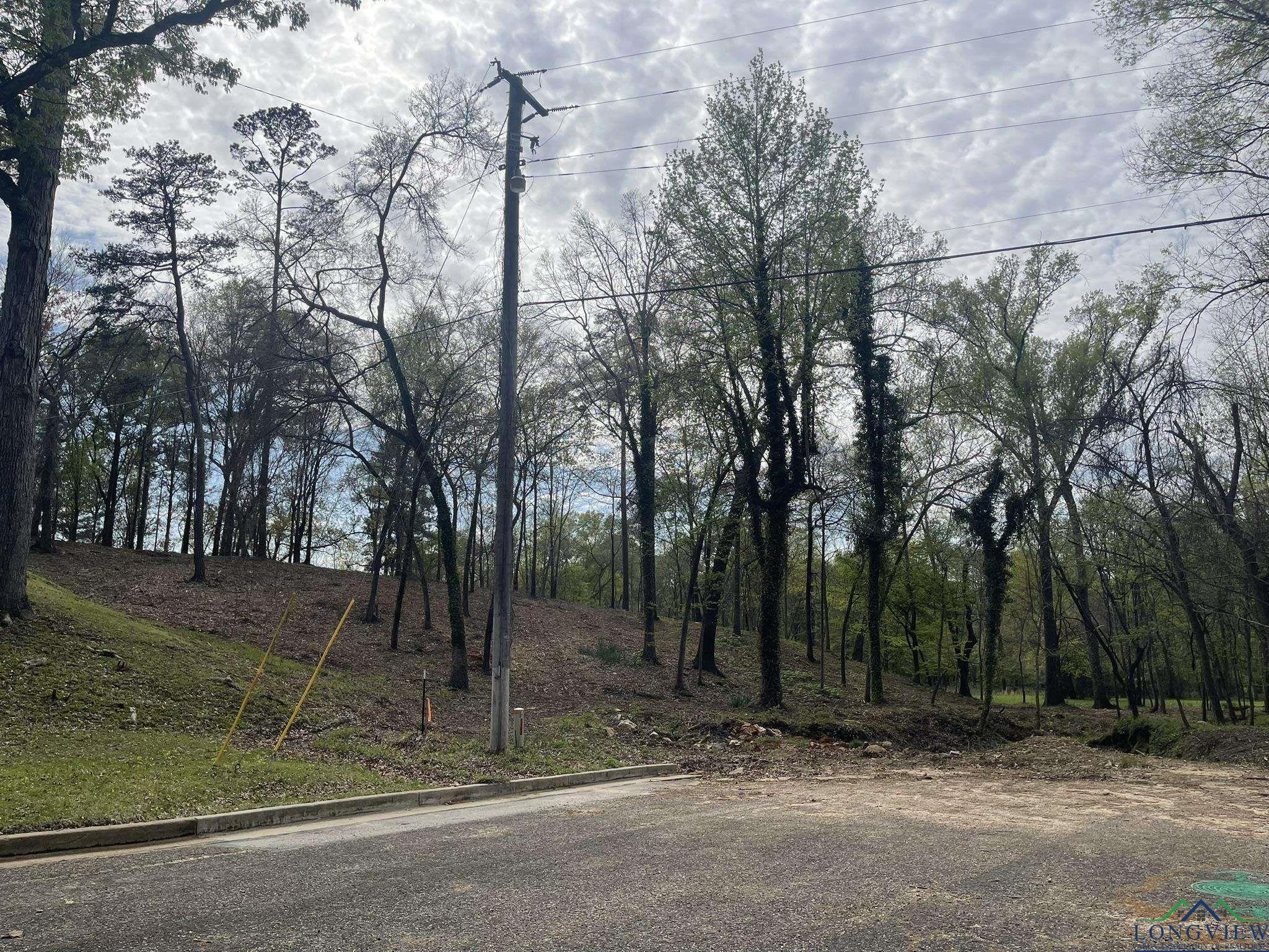 9.276 Ac Mockingbird-inverness, Longview, Texas image 10