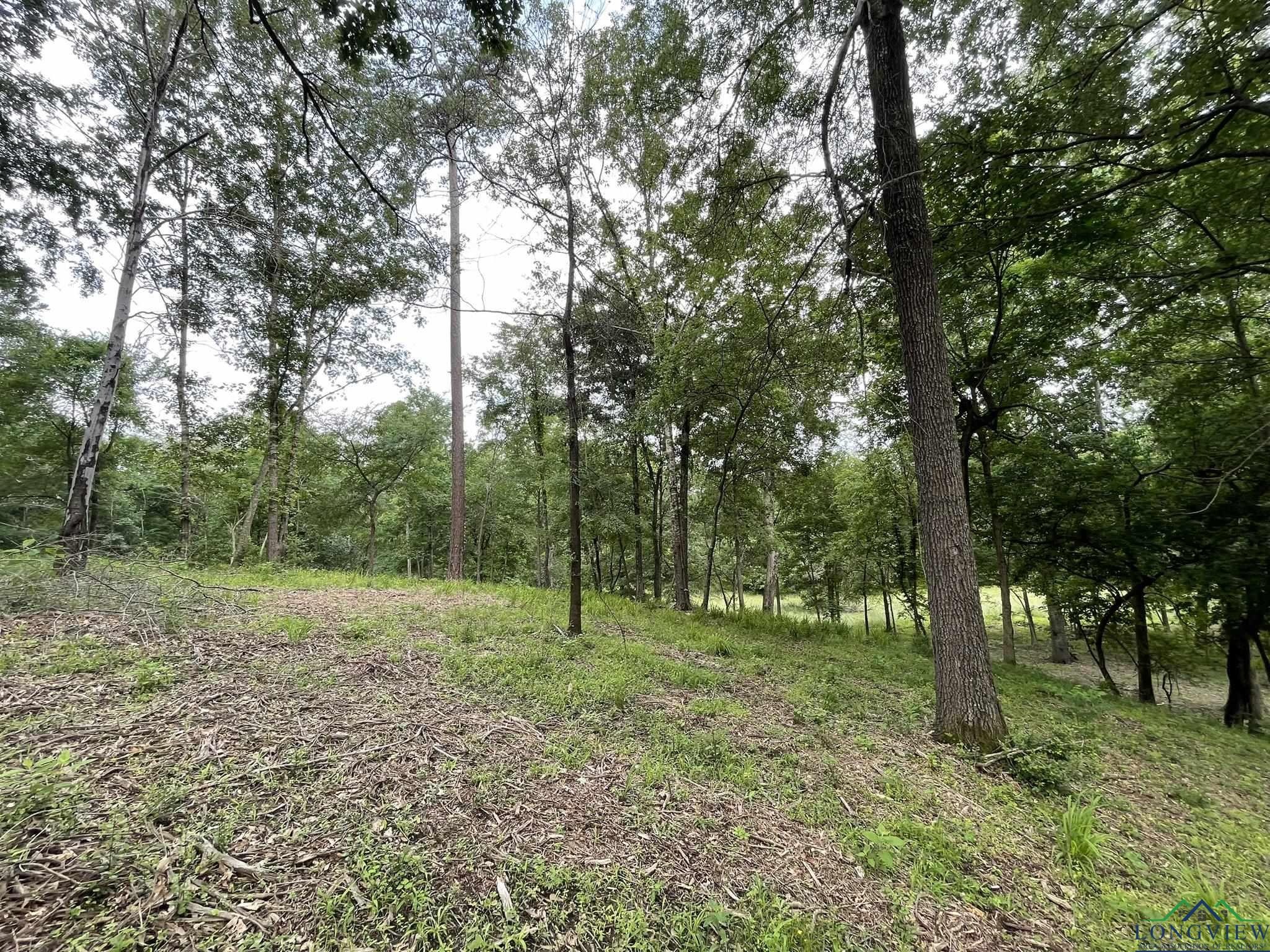 9.276 Ac Mockingbird-inverness, Longview, Texas image 23