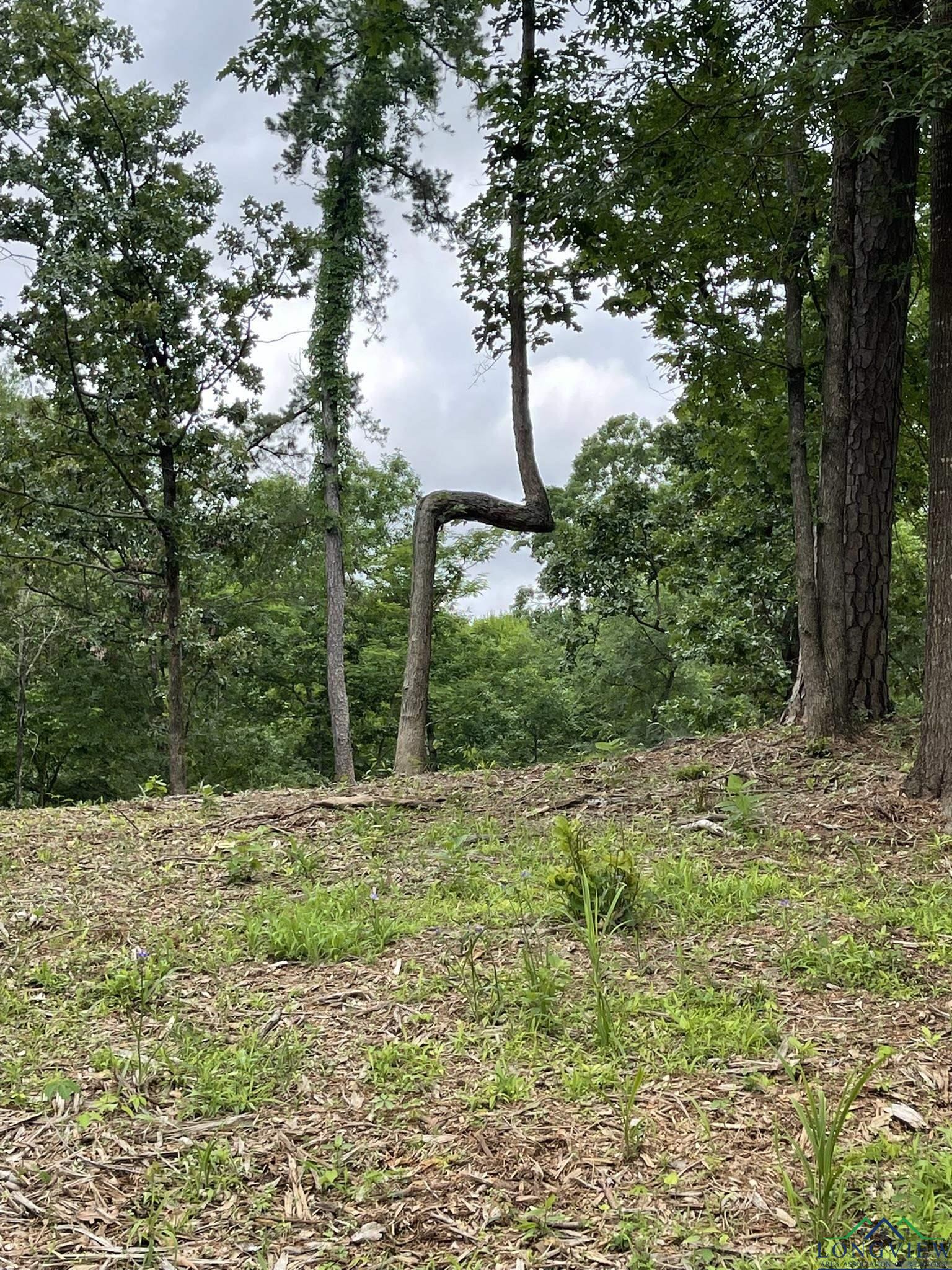 9.276 Ac Mockingbird-inverness, Longview, Texas image 17