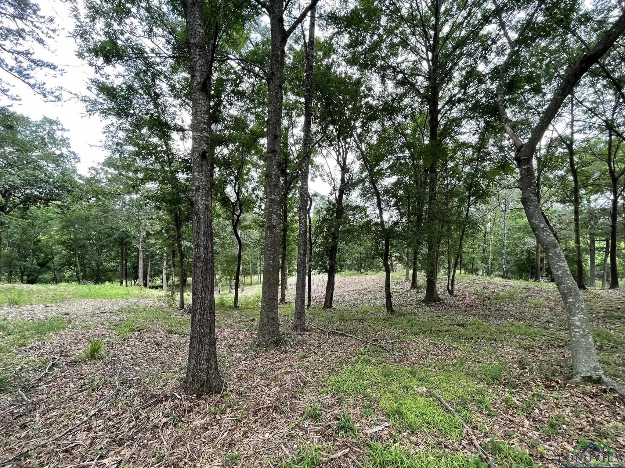 9.276 Ac Mockingbird-inverness, Longview, Texas image 19