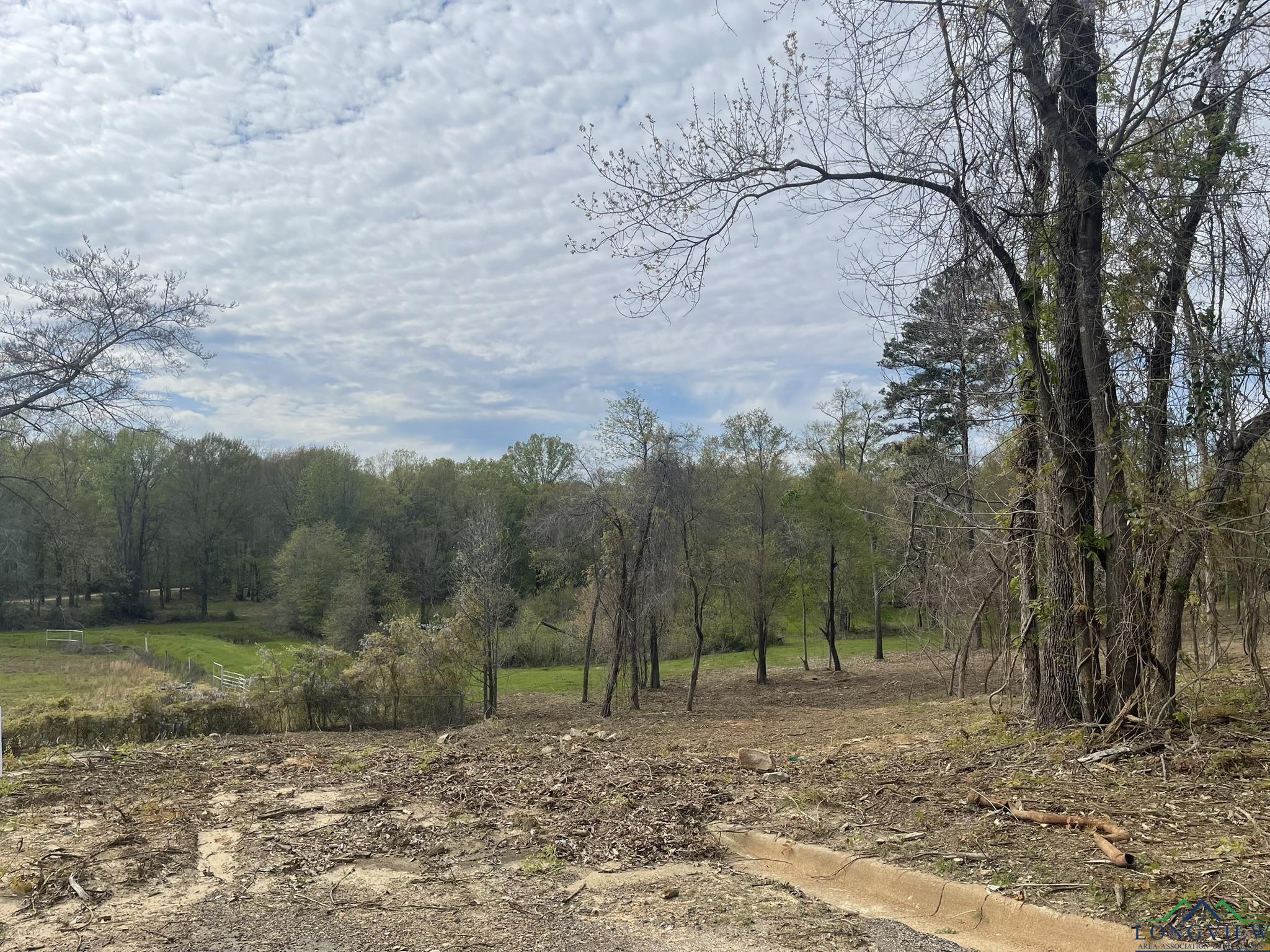 9.276 Ac Mockingbird-inverness, Longview, Texas image 14