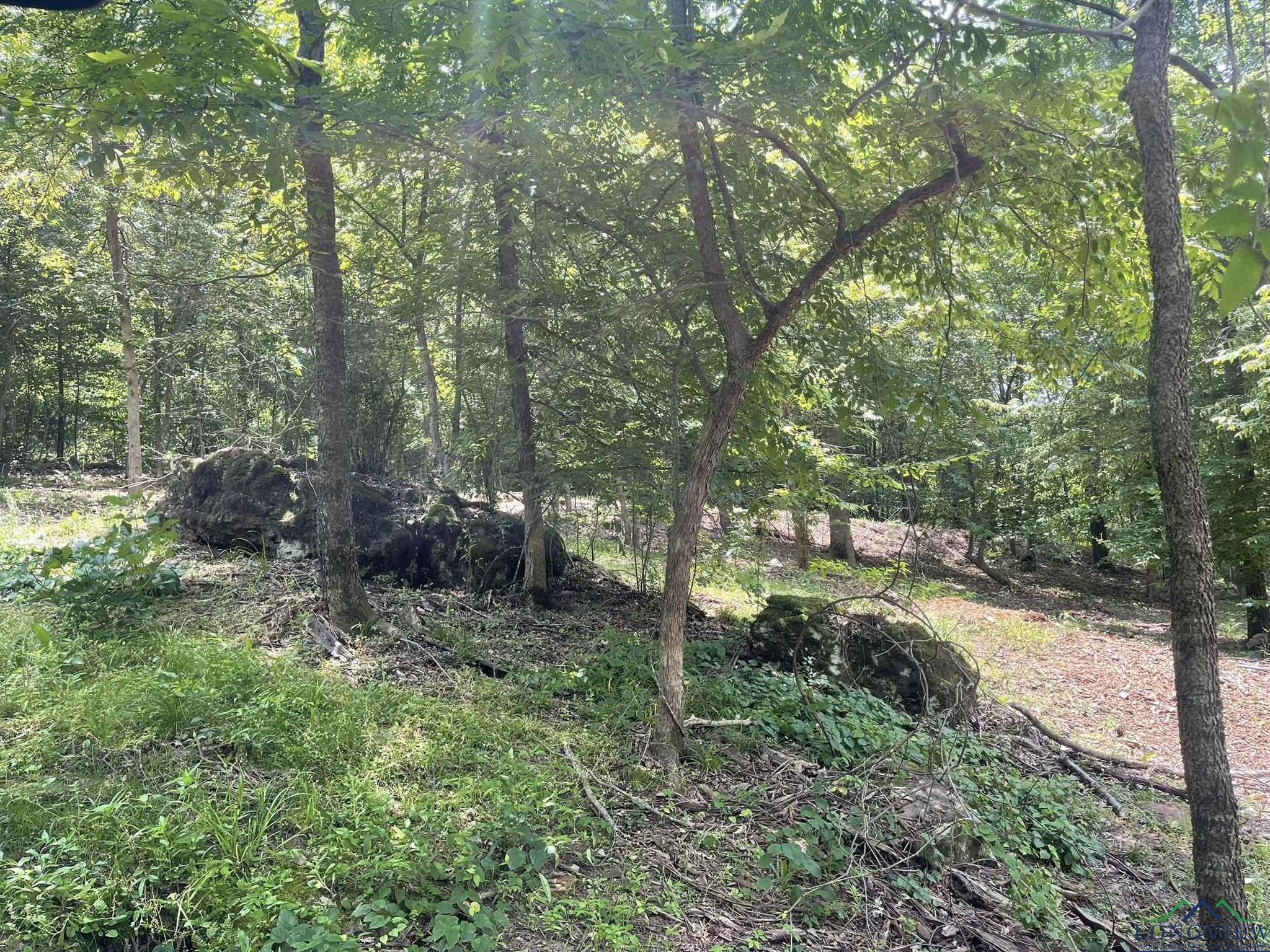 9.276 Ac Mockingbird-inverness, Longview, Texas image 25