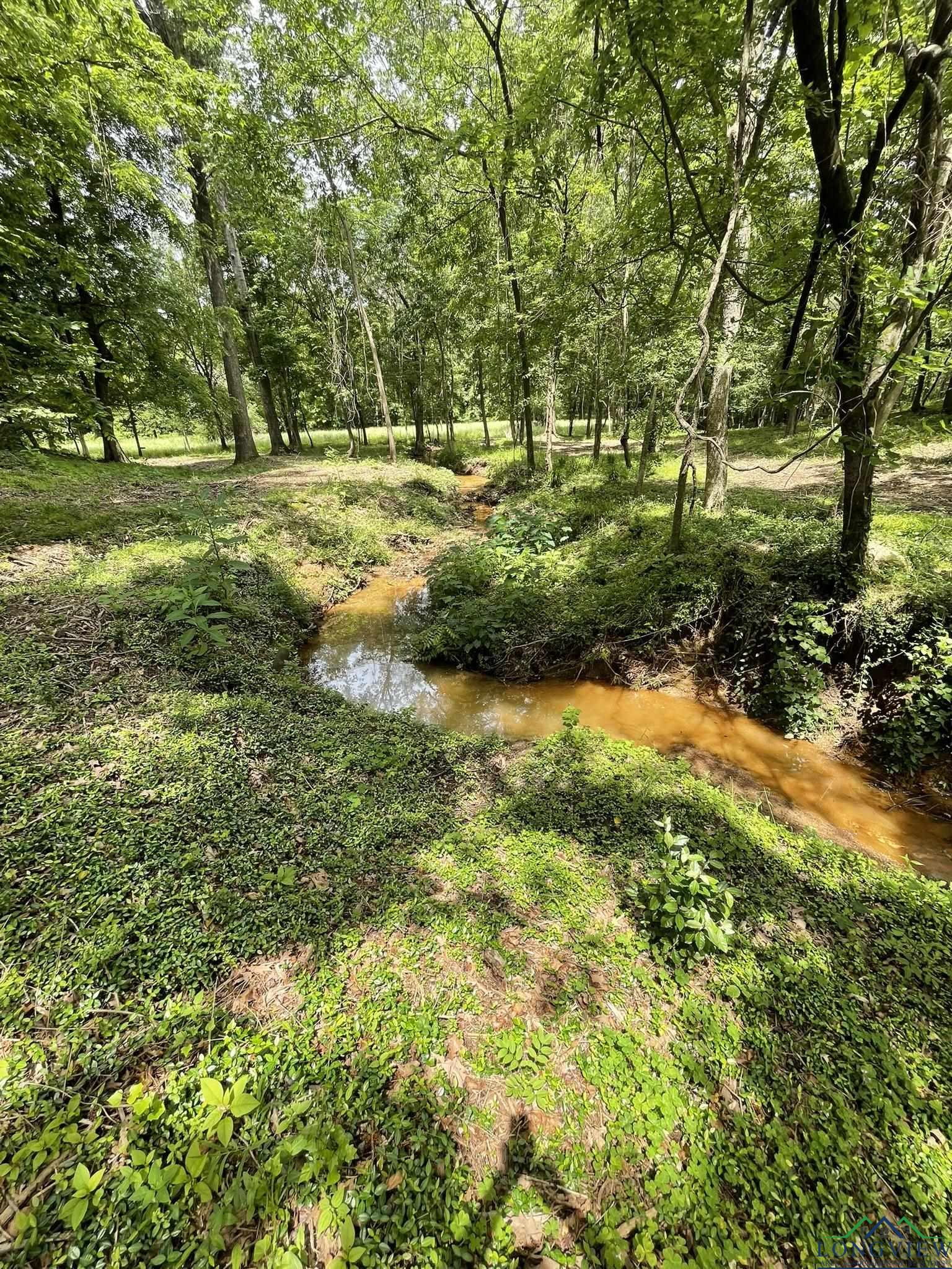 9.276 Ac Mockingbird-inverness, Longview, Texas image 1