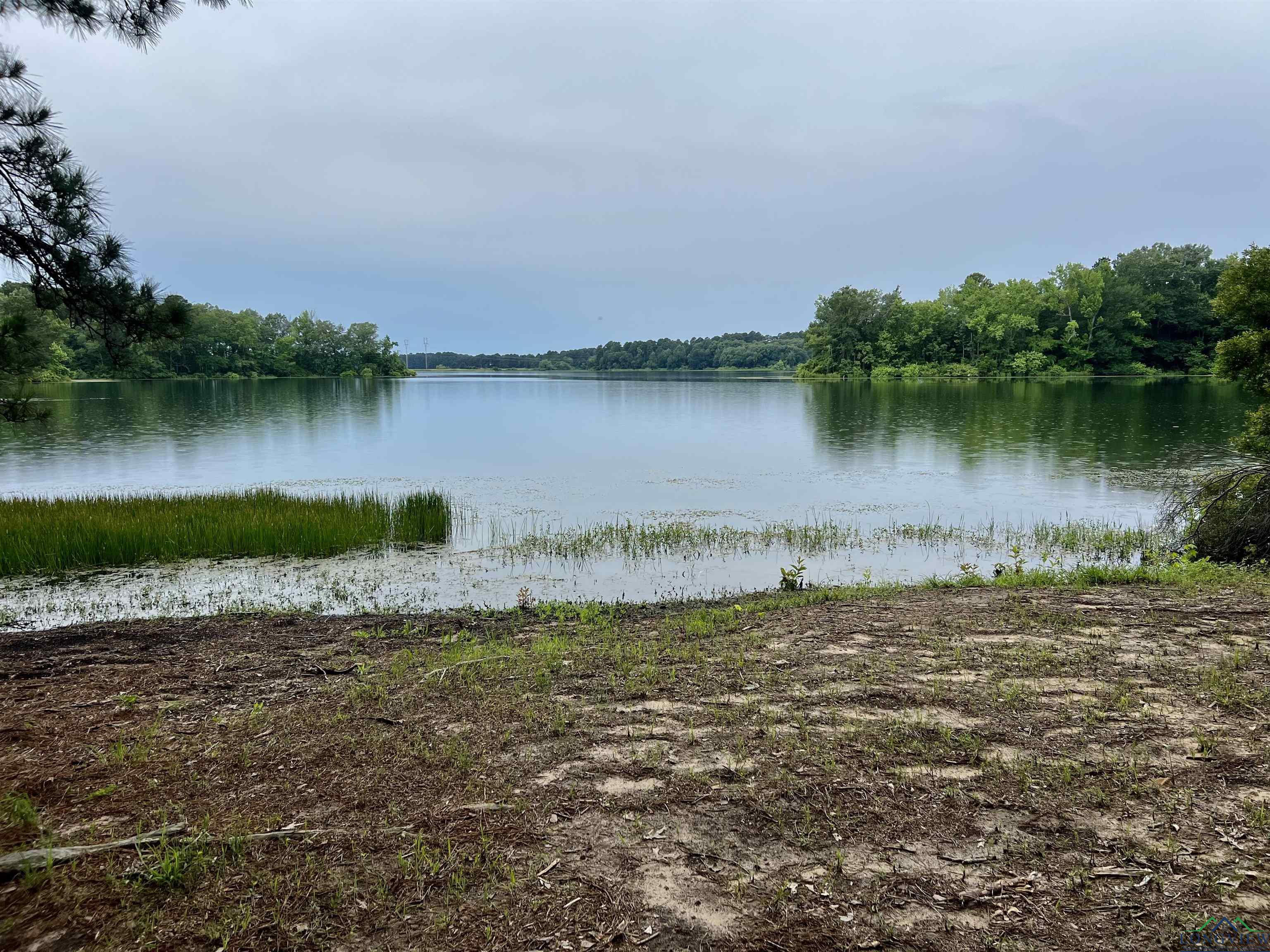 4770 County Road 4875, Pittsburg, Texas image 9